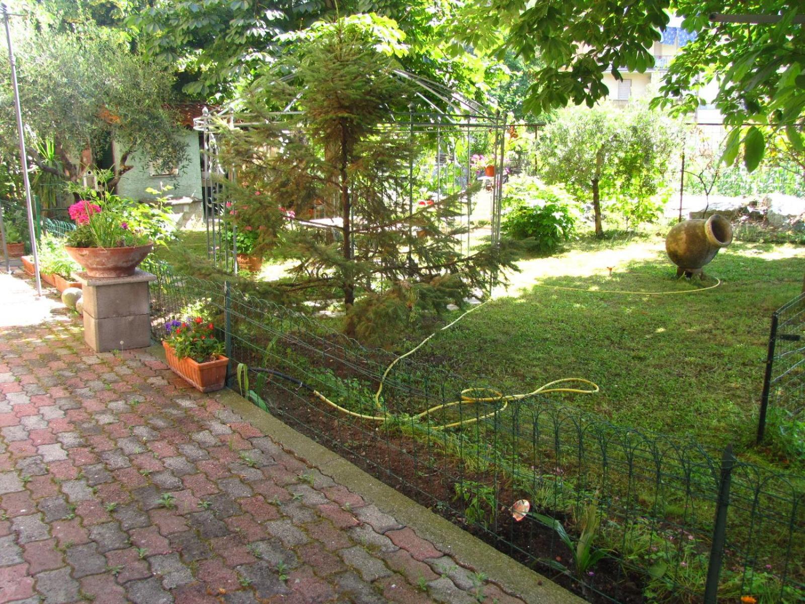 Photo 15