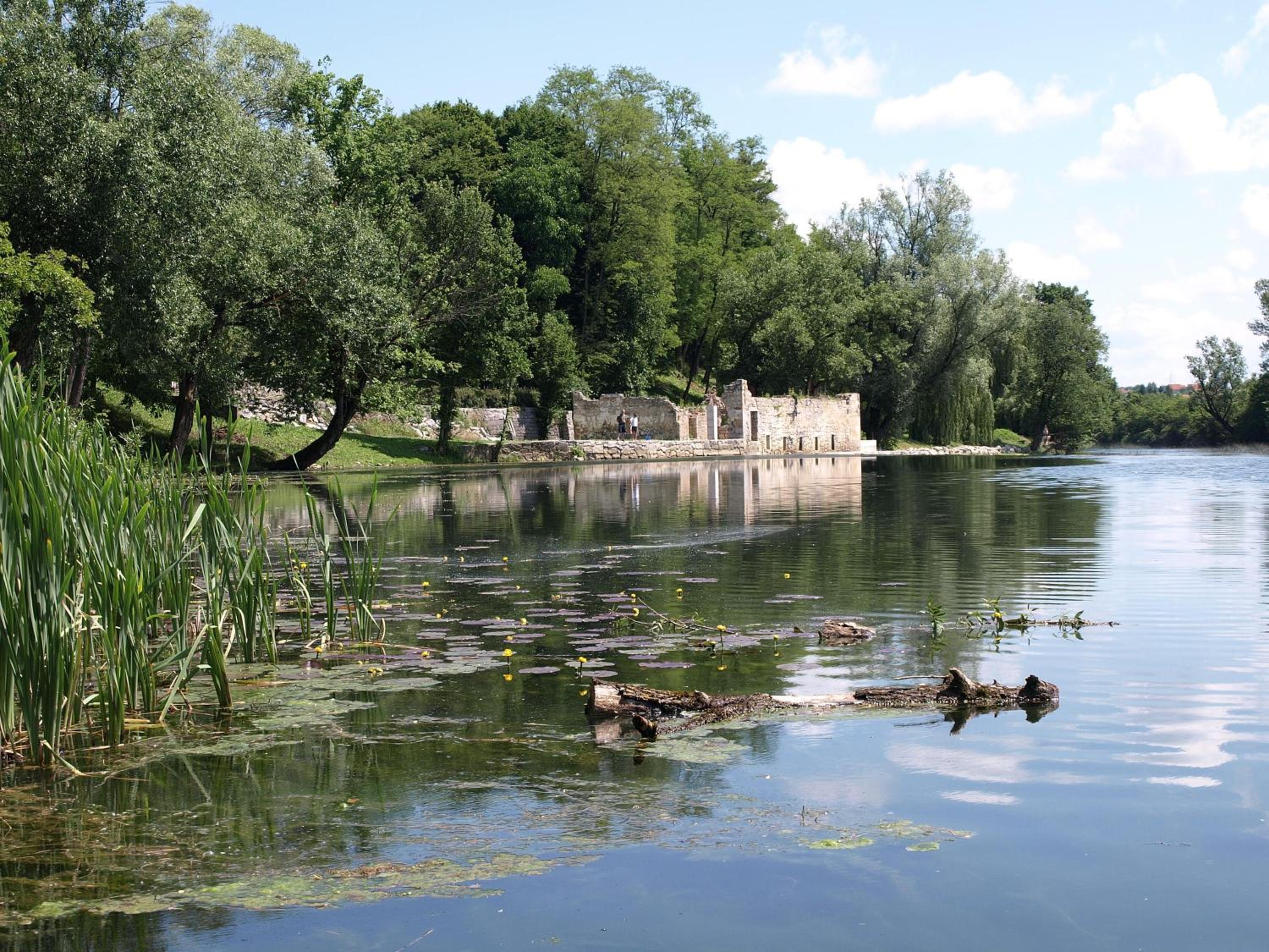 other