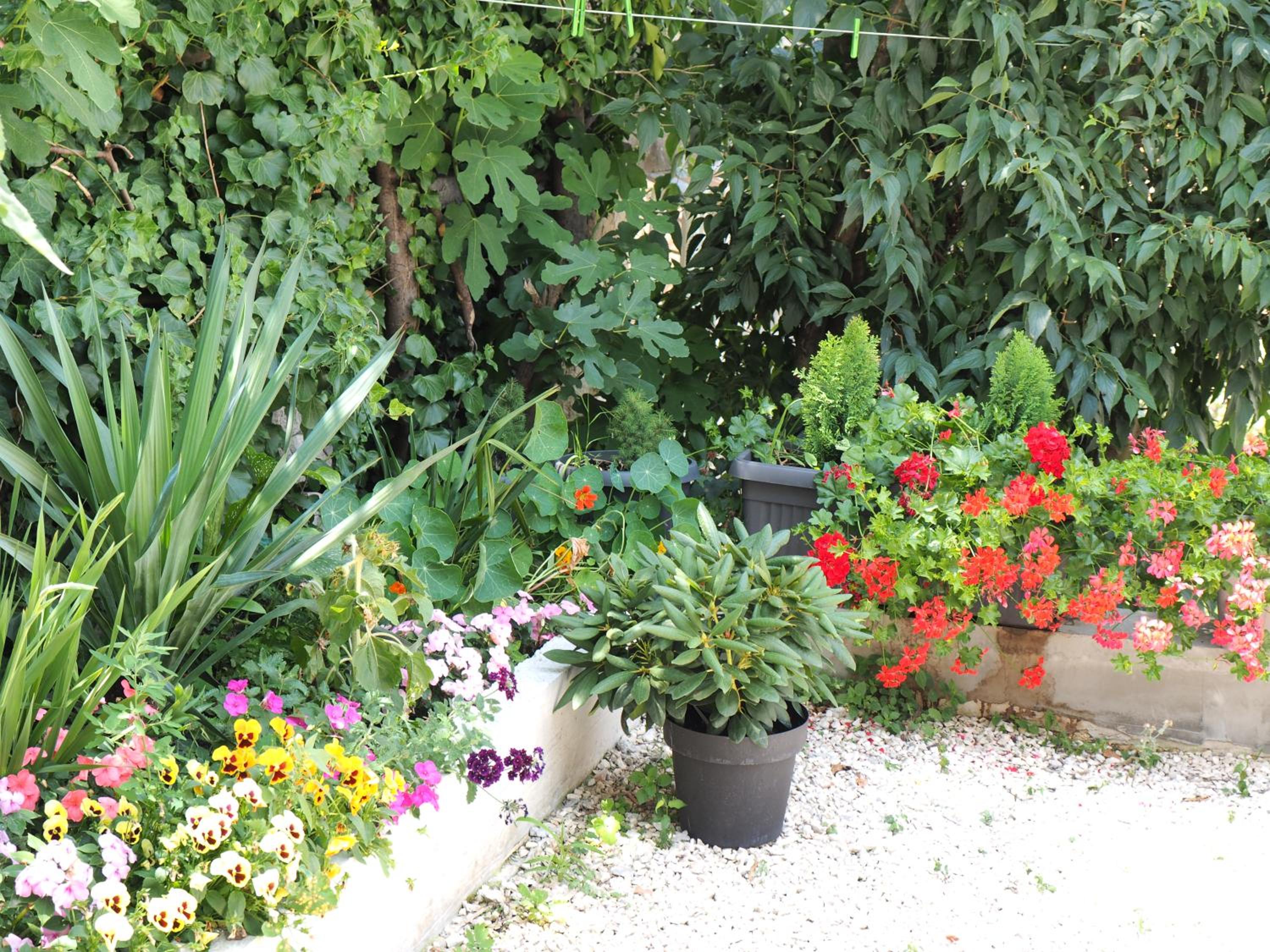 Photo 7