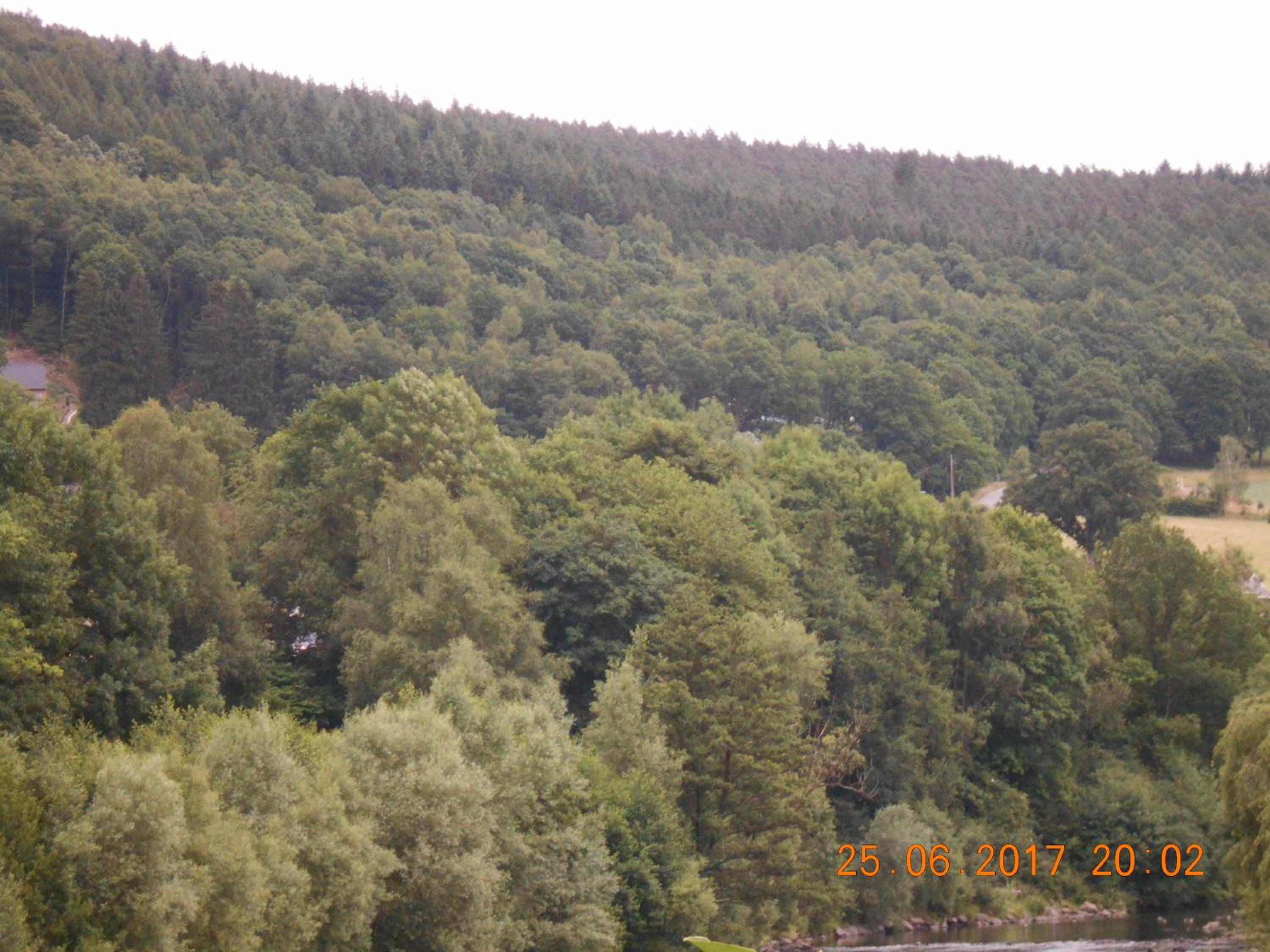 Le Vieux Sart 3