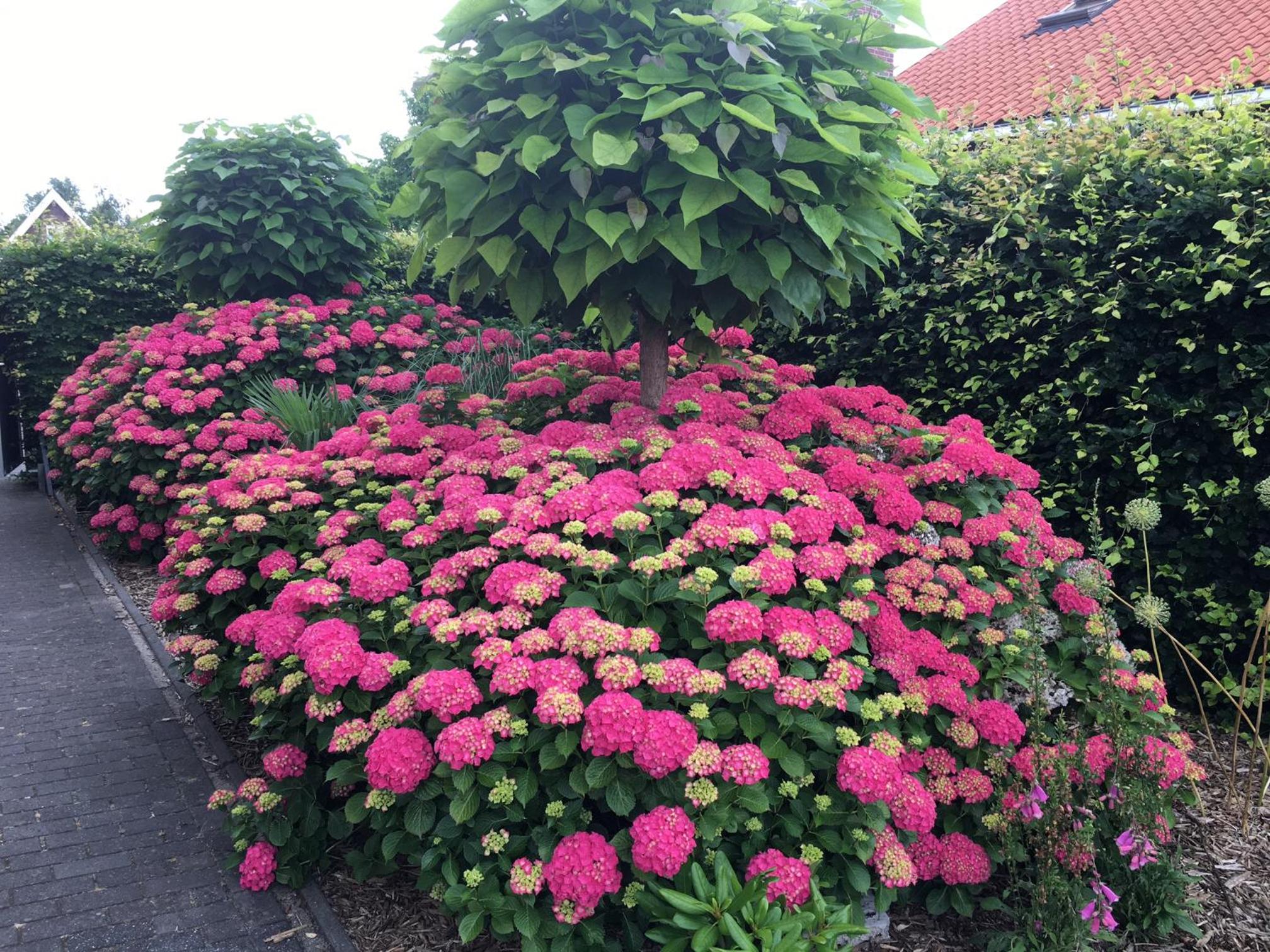 Photo 22