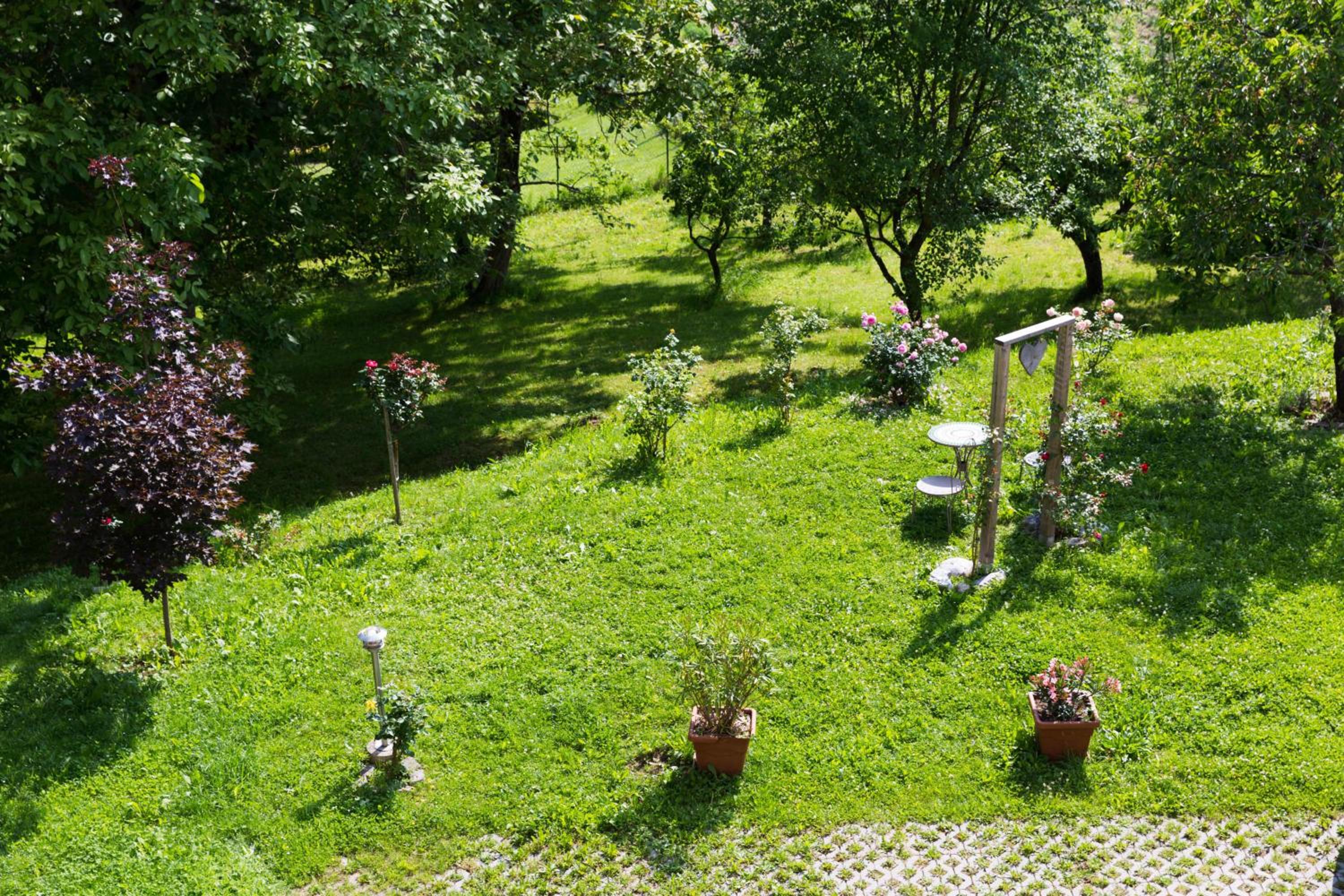 Dorfwirt
