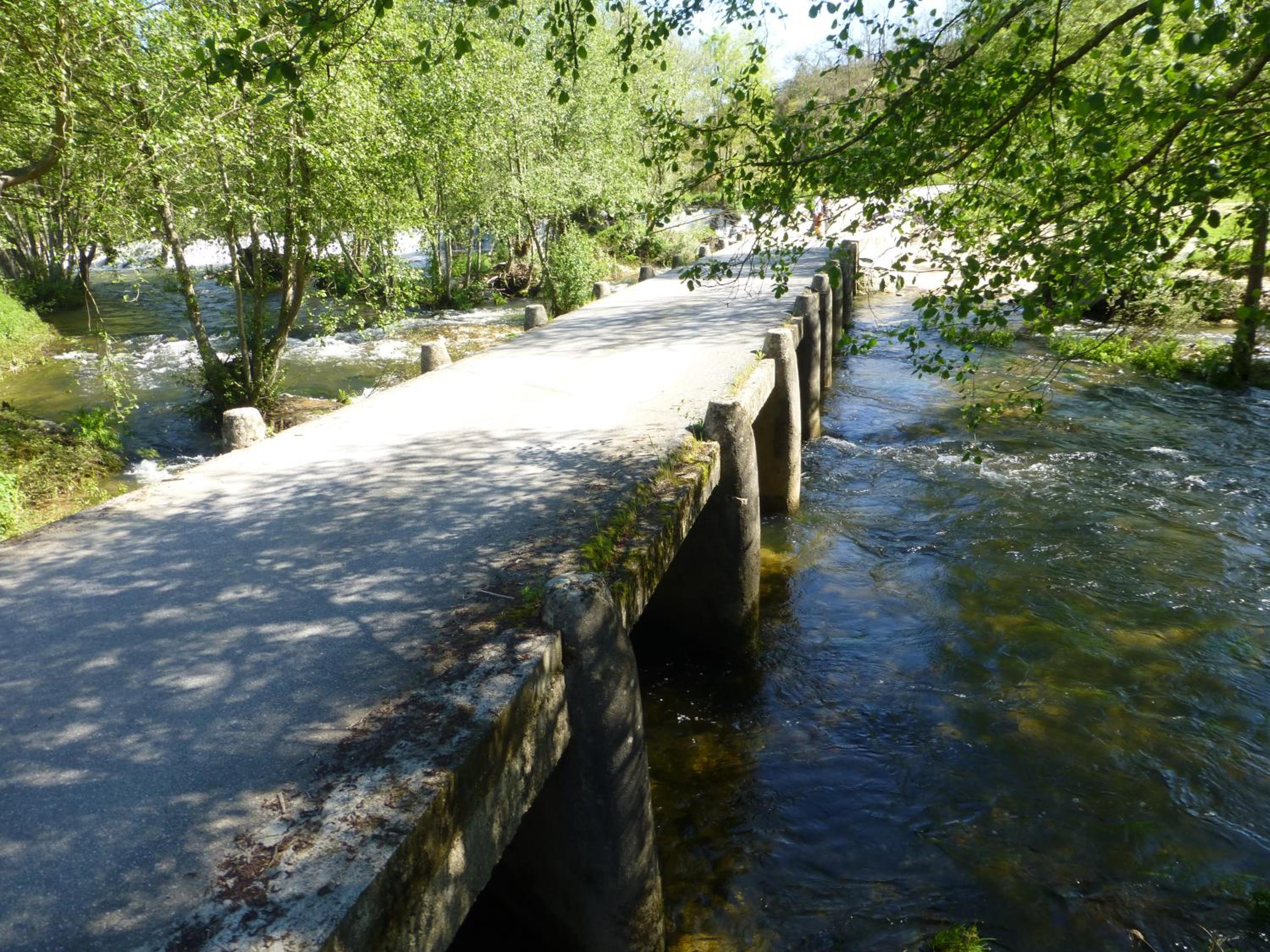 Photo 24