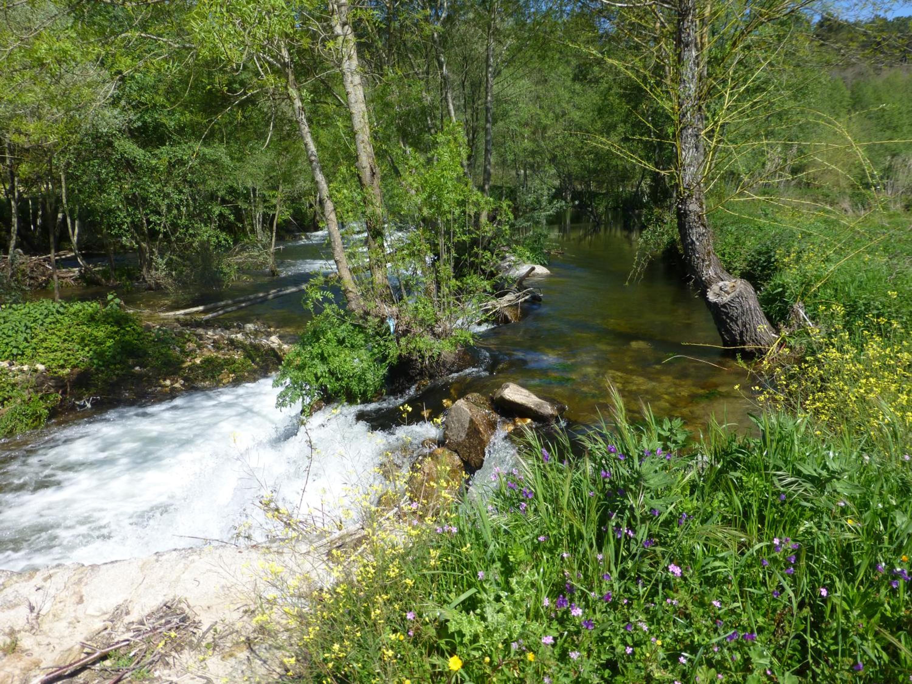 Photo 25