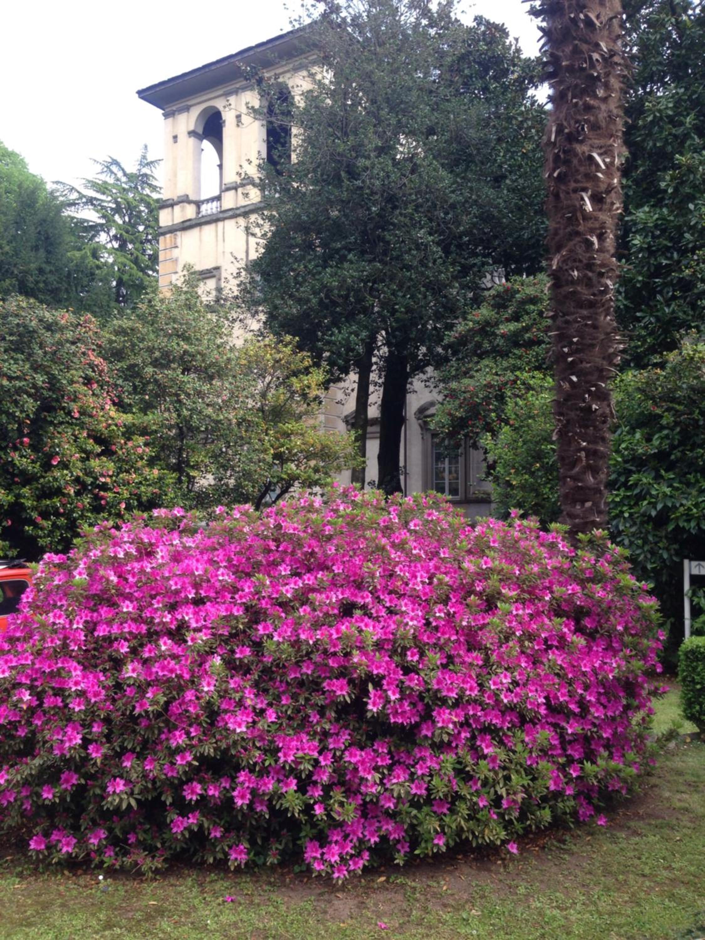 Residenza Christian photo 5