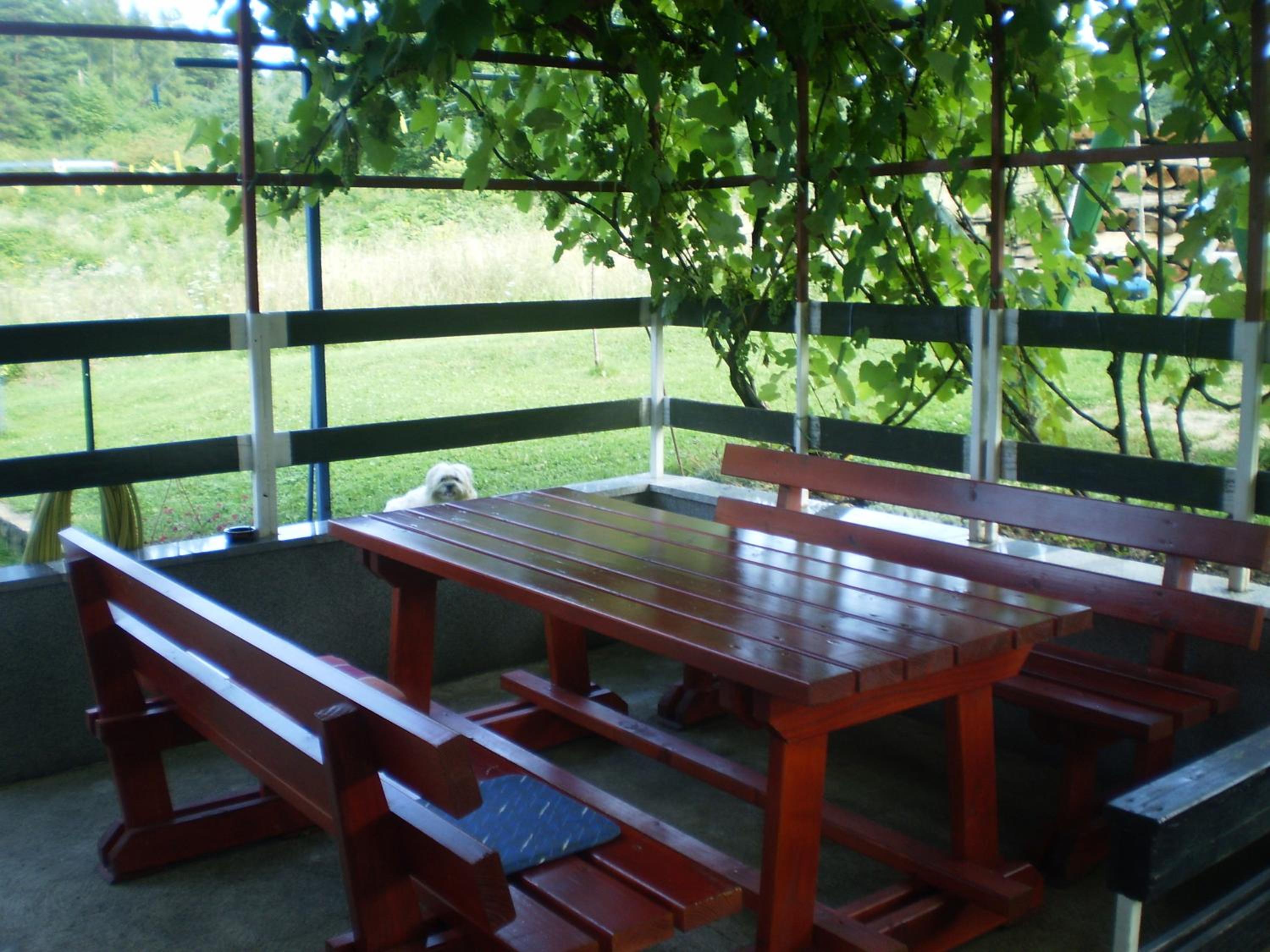 Photo 10