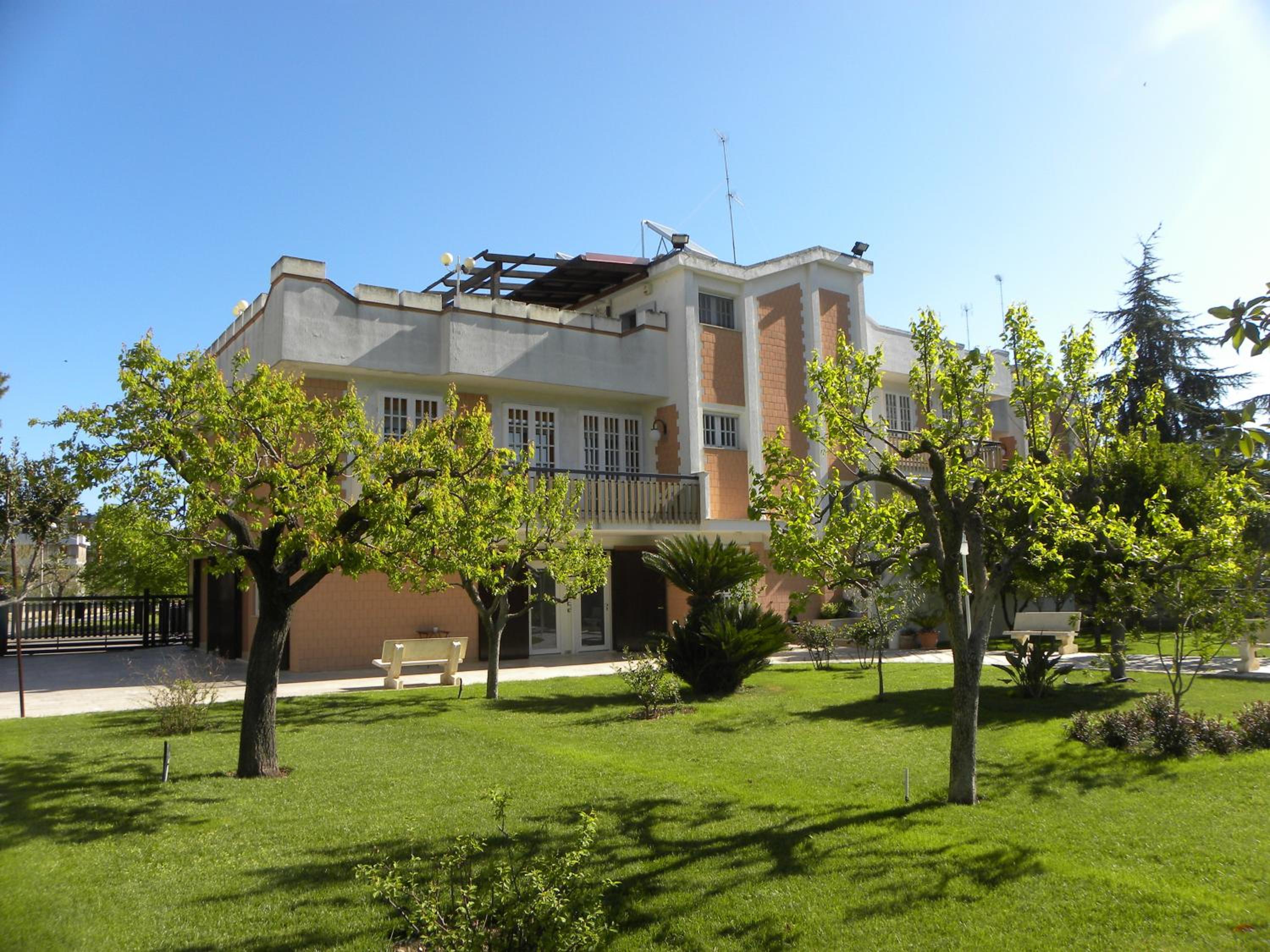 Photo 46