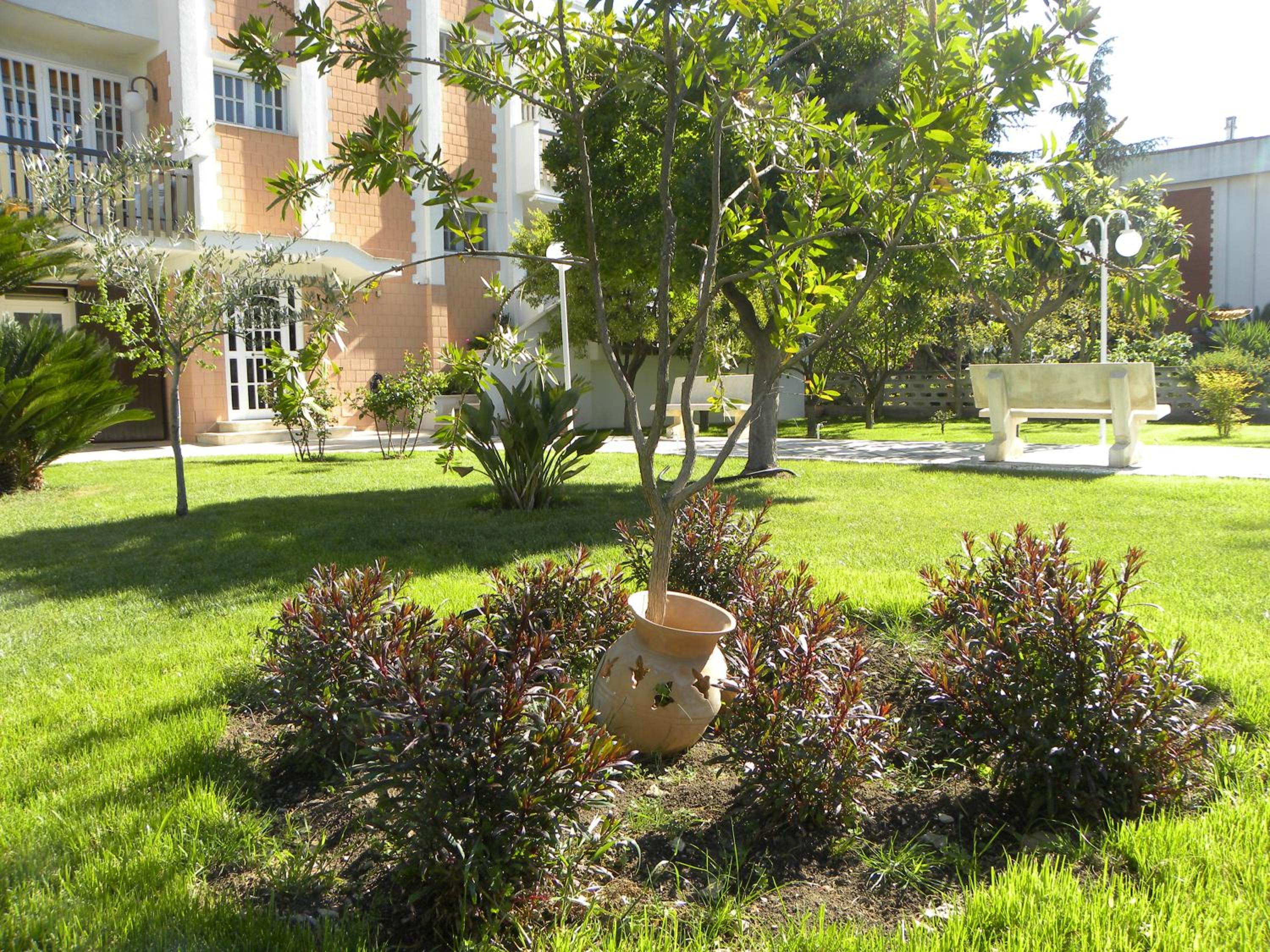 Photo 49