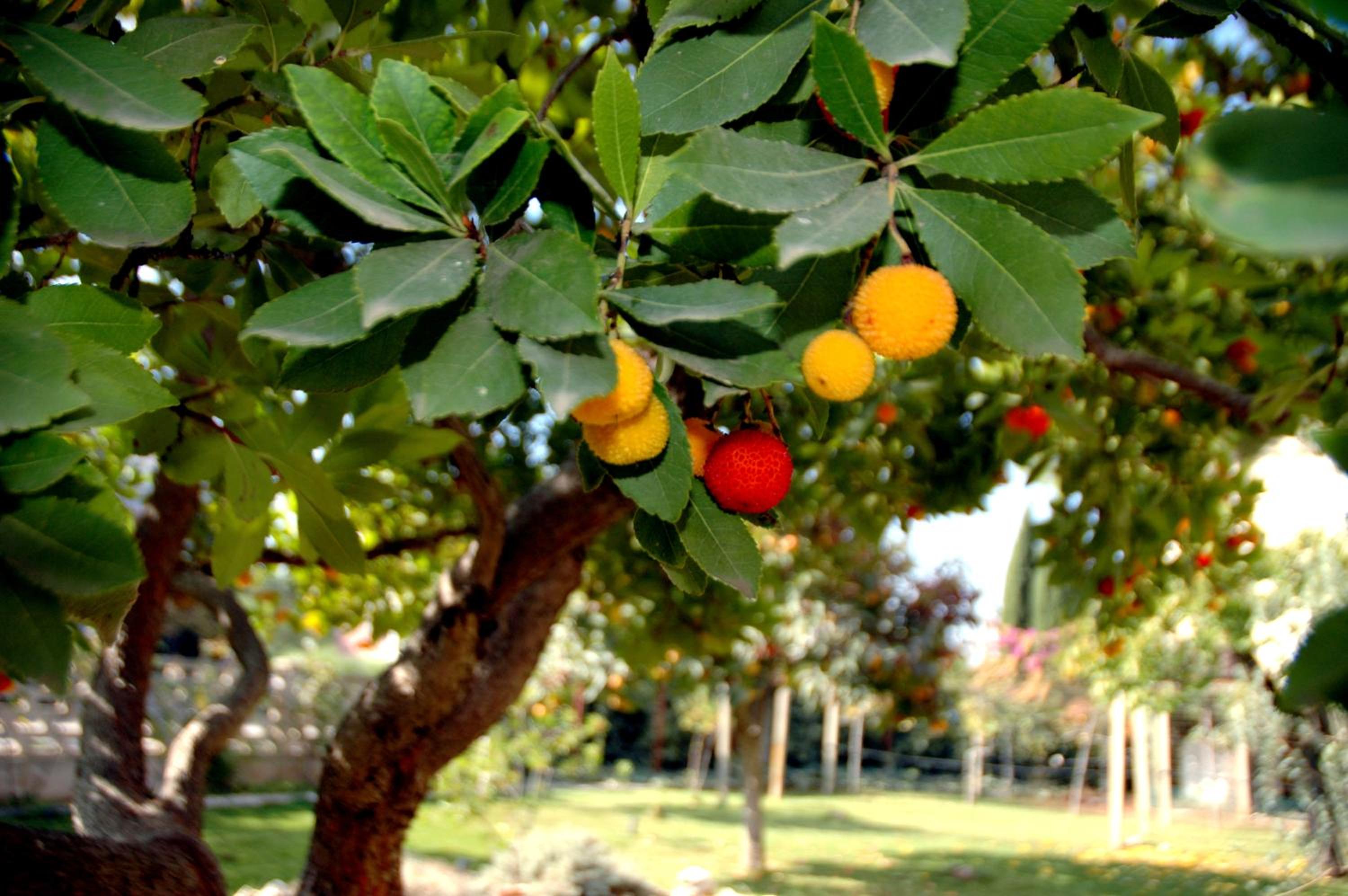 Photo 48