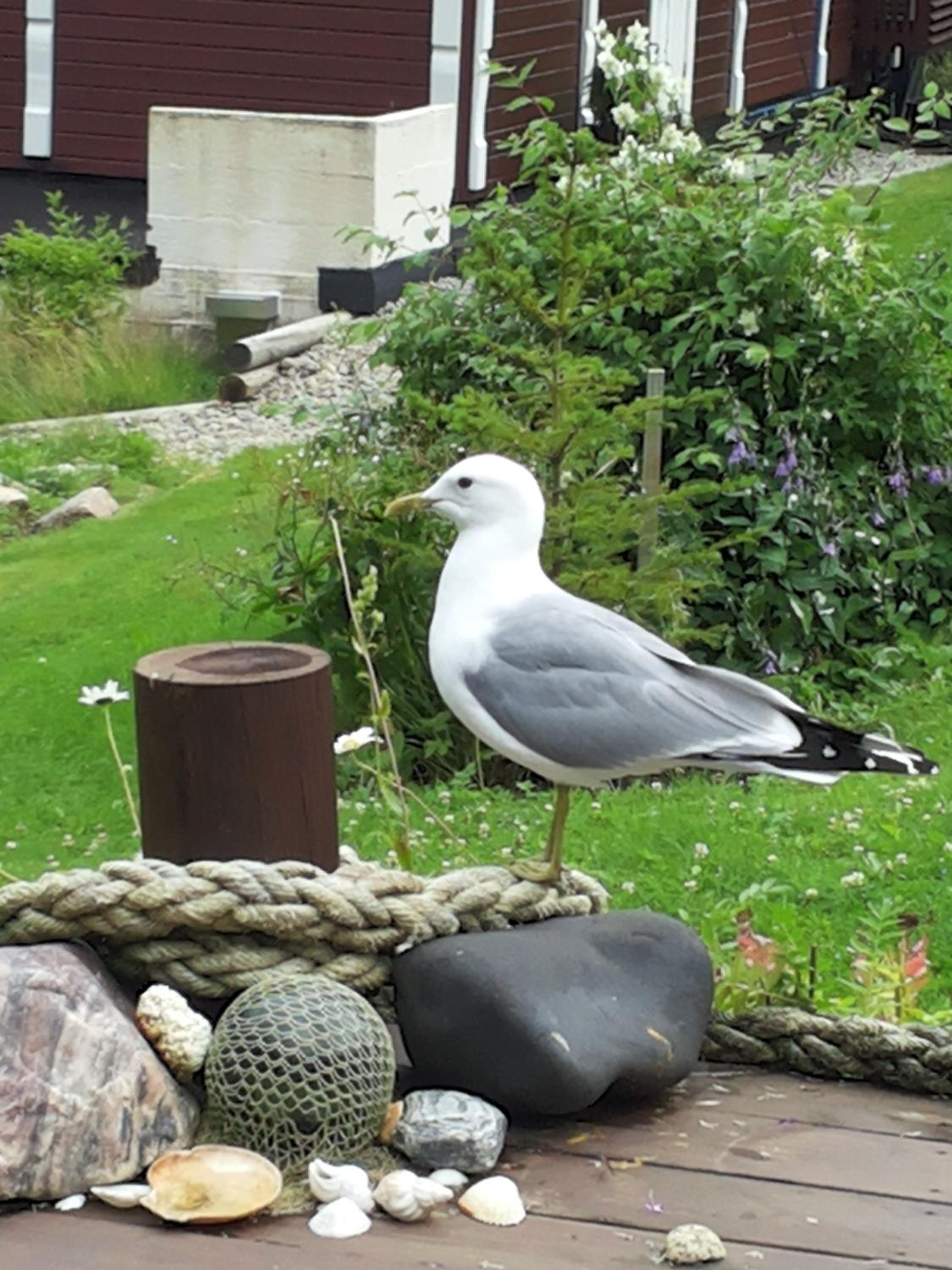 Photo 23
