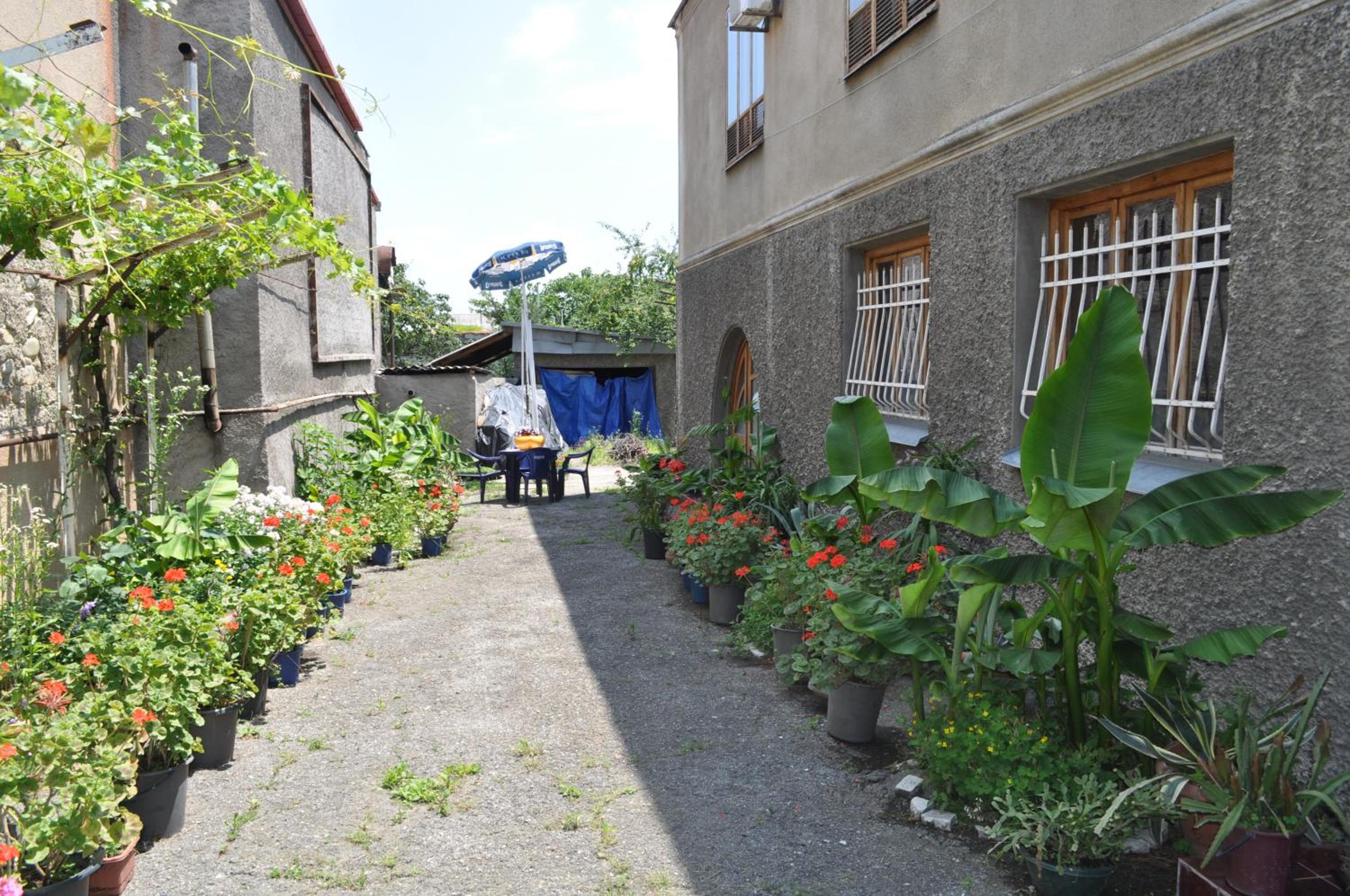 Guest House Cico view 5