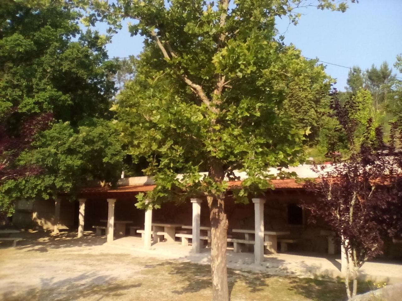Photo 38