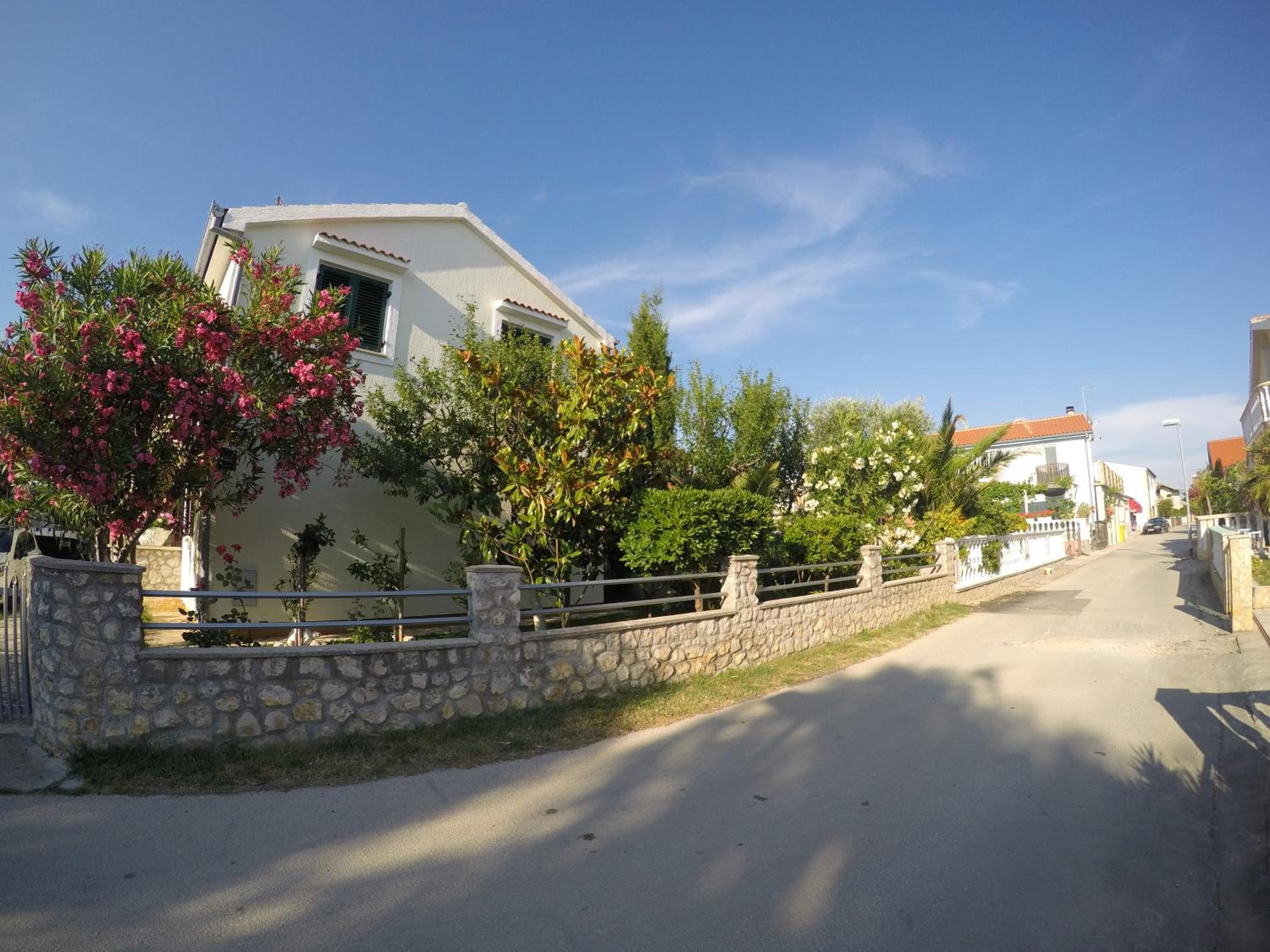 Photo 7