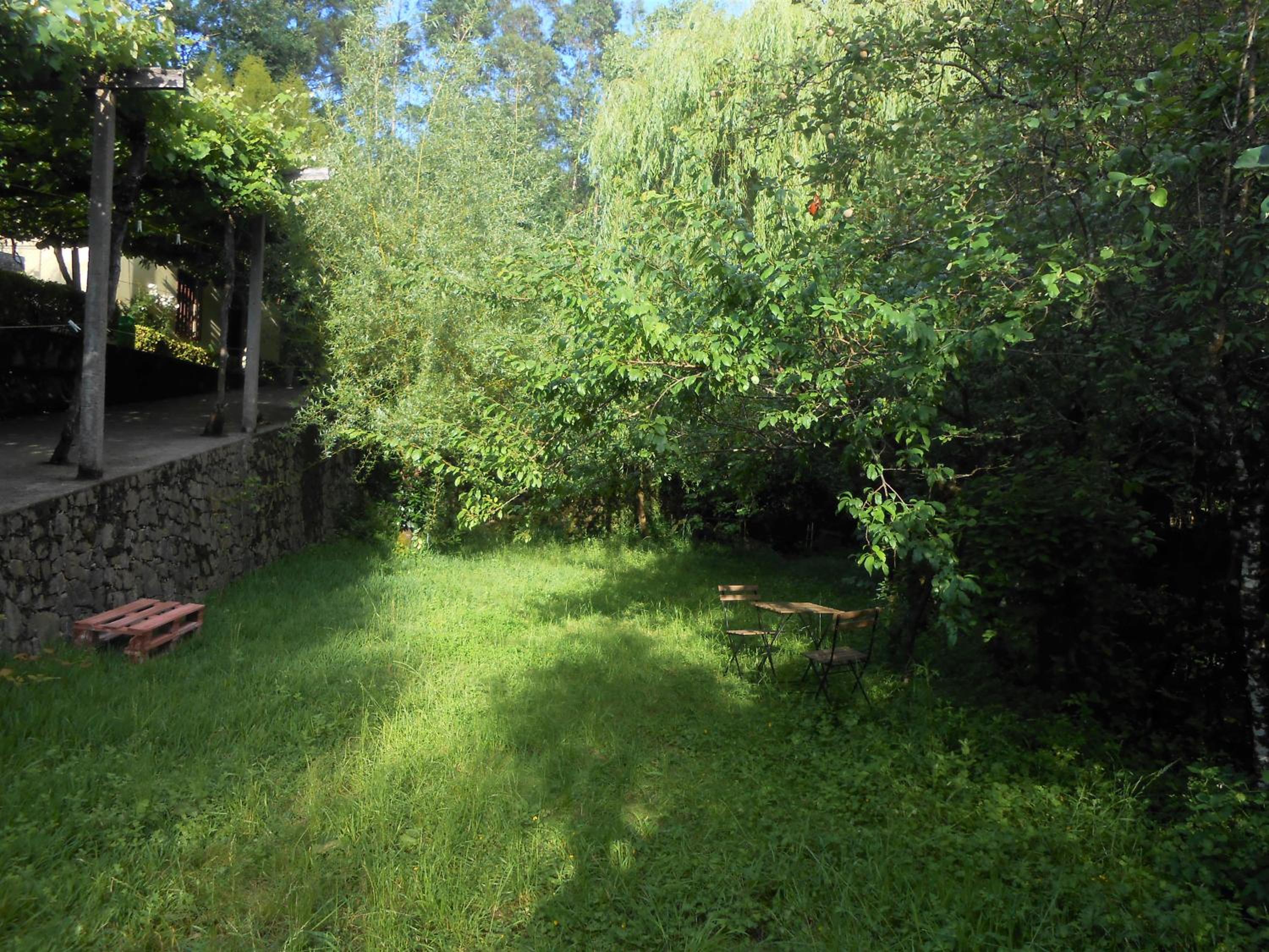 Photo 35