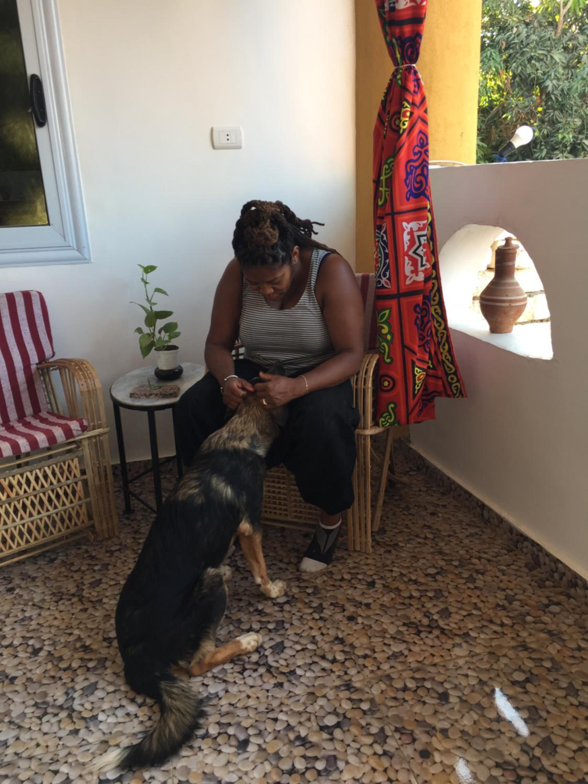 The Mango Guest House — photo 47