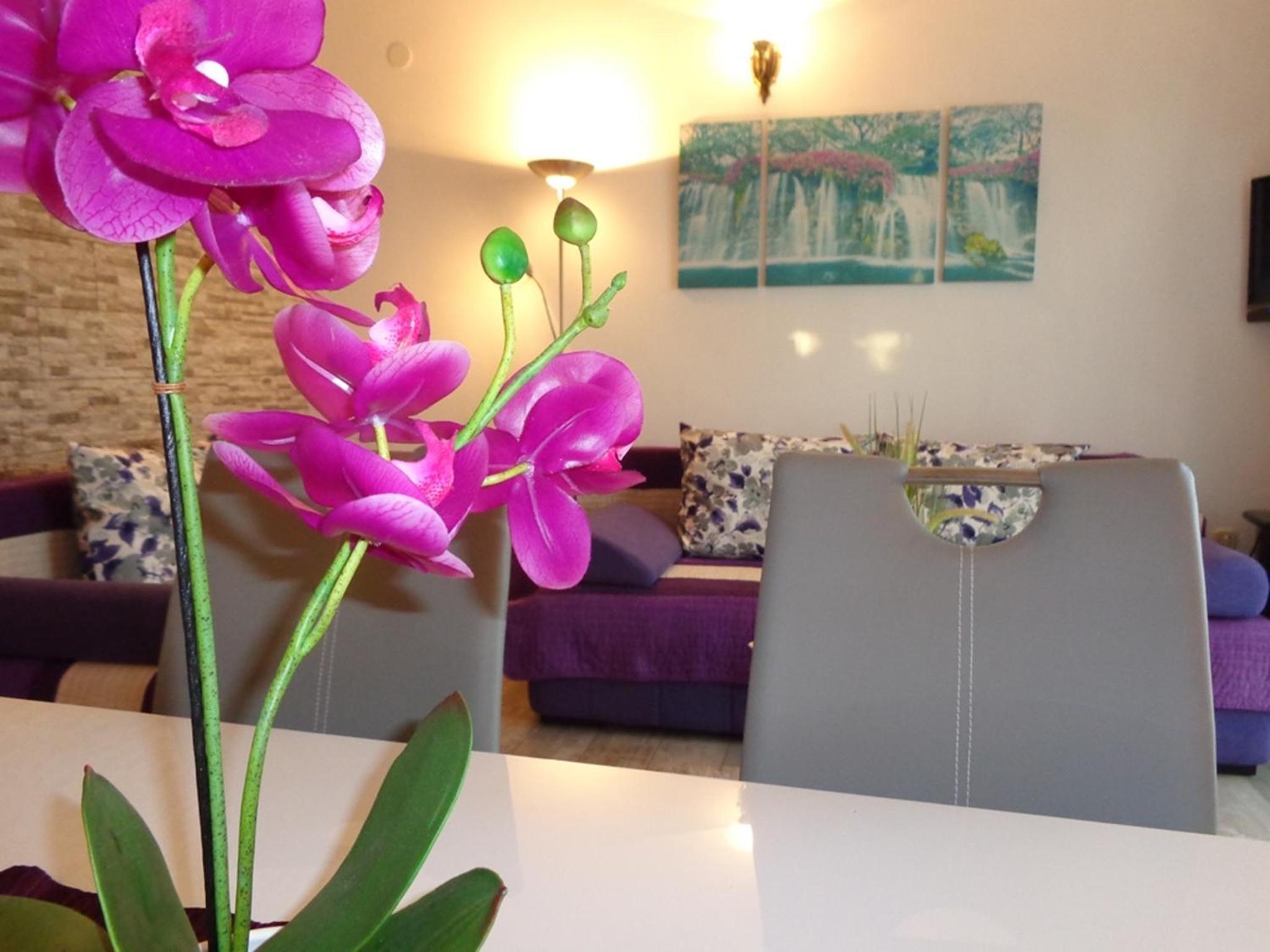 I & S Apartments
