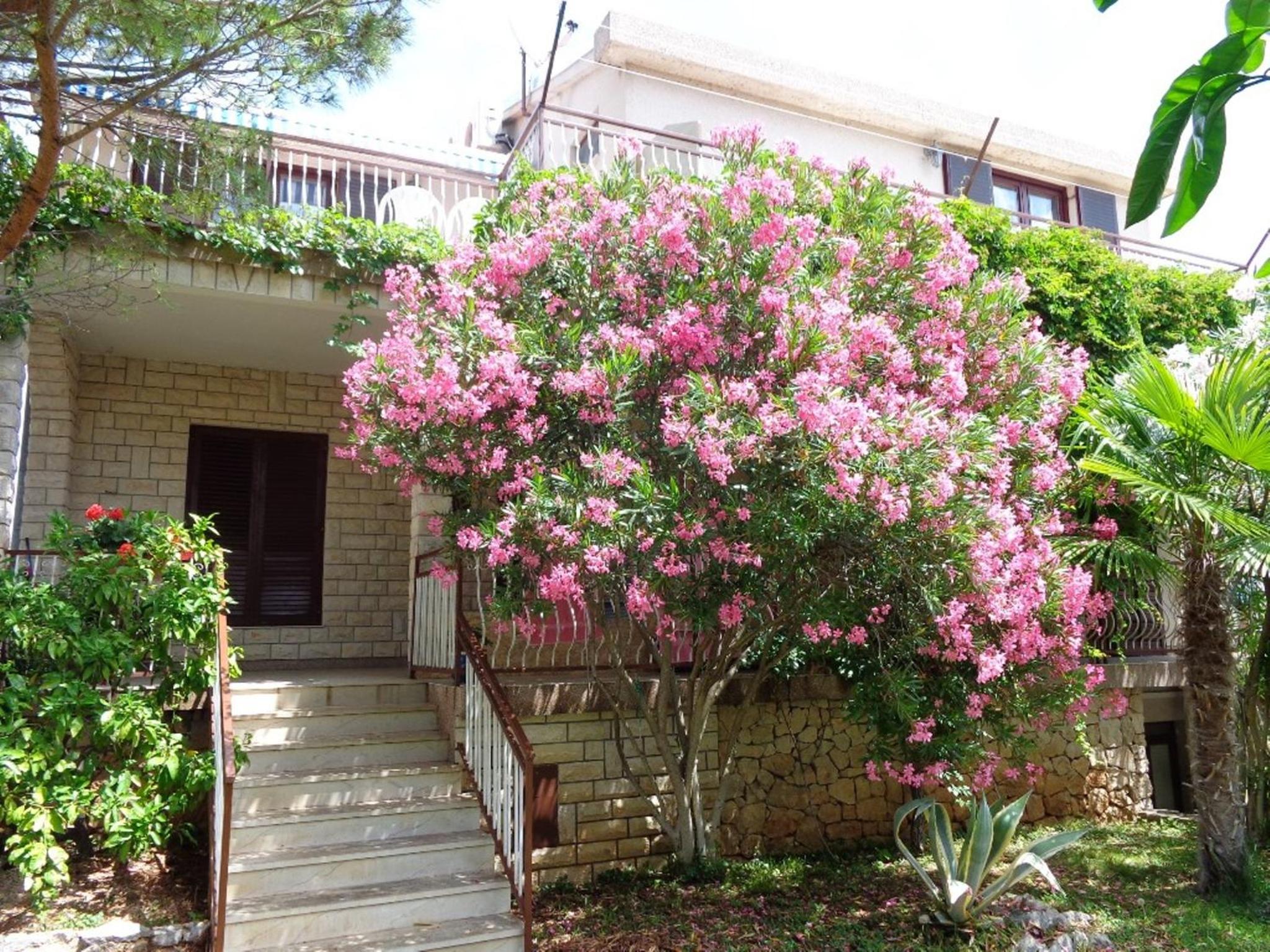 I & S Apartments