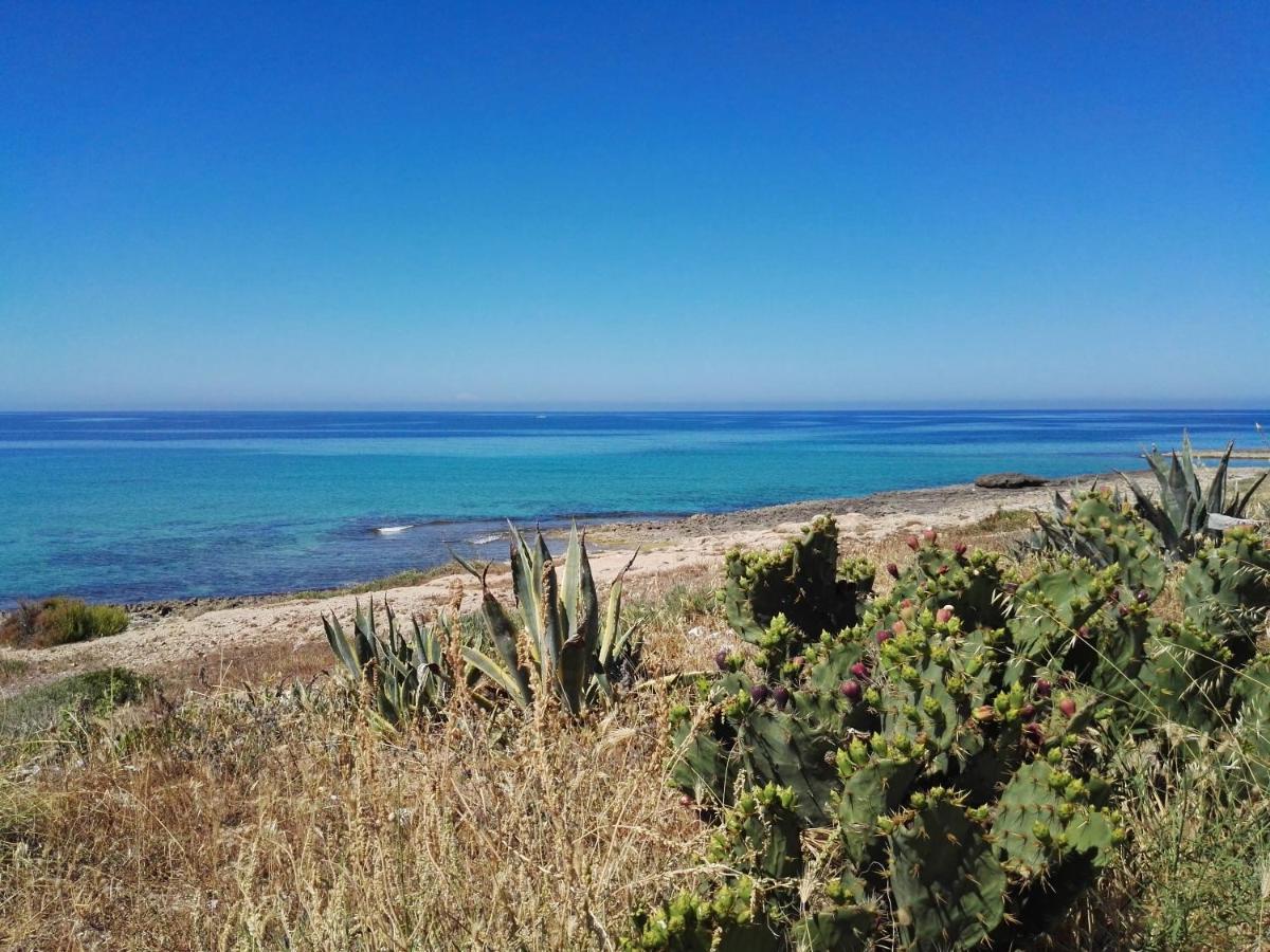 Il profumo del mare photo 5