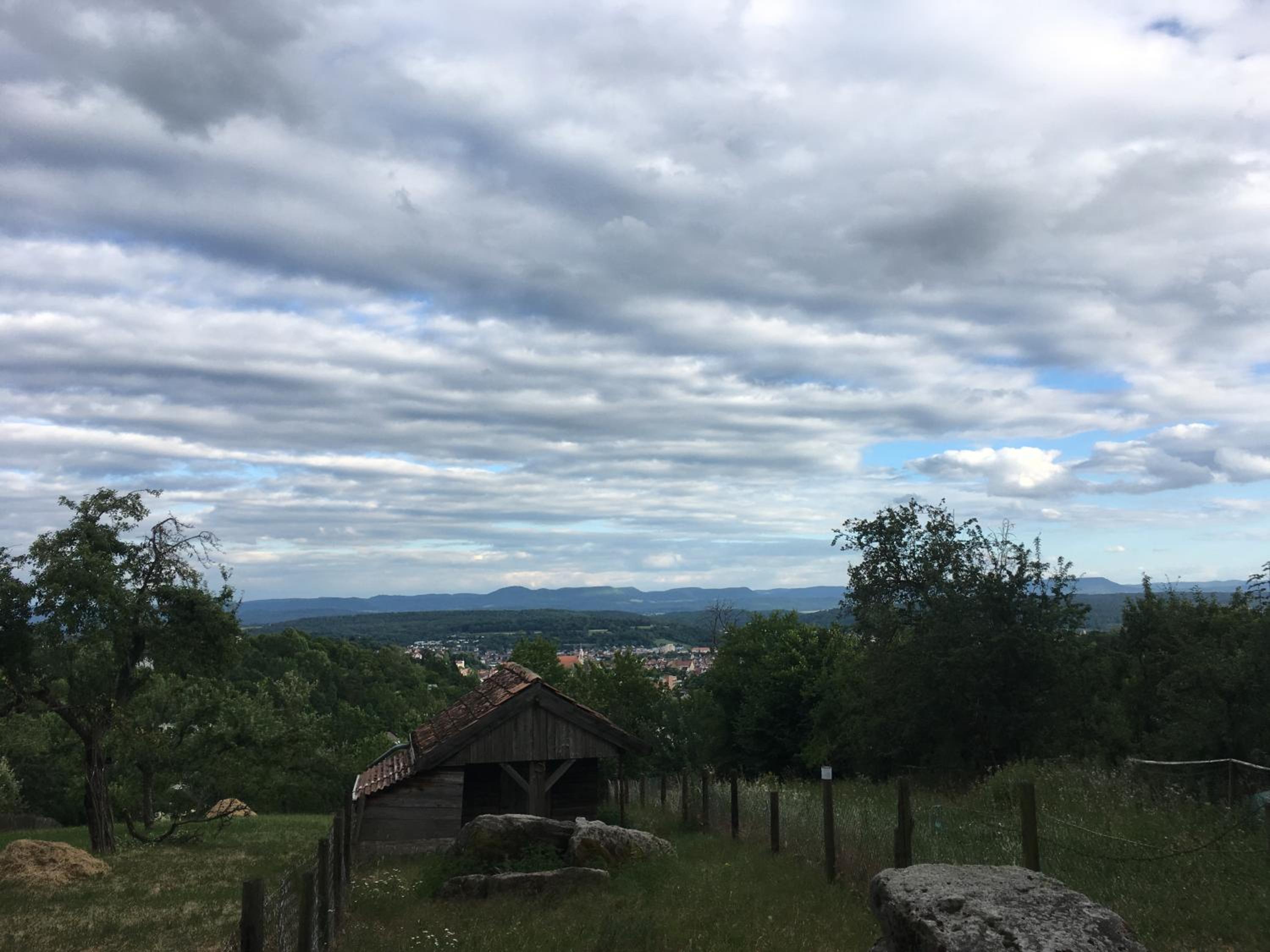Ruhige Wohnung in zentraler Lage Tübingens view 3