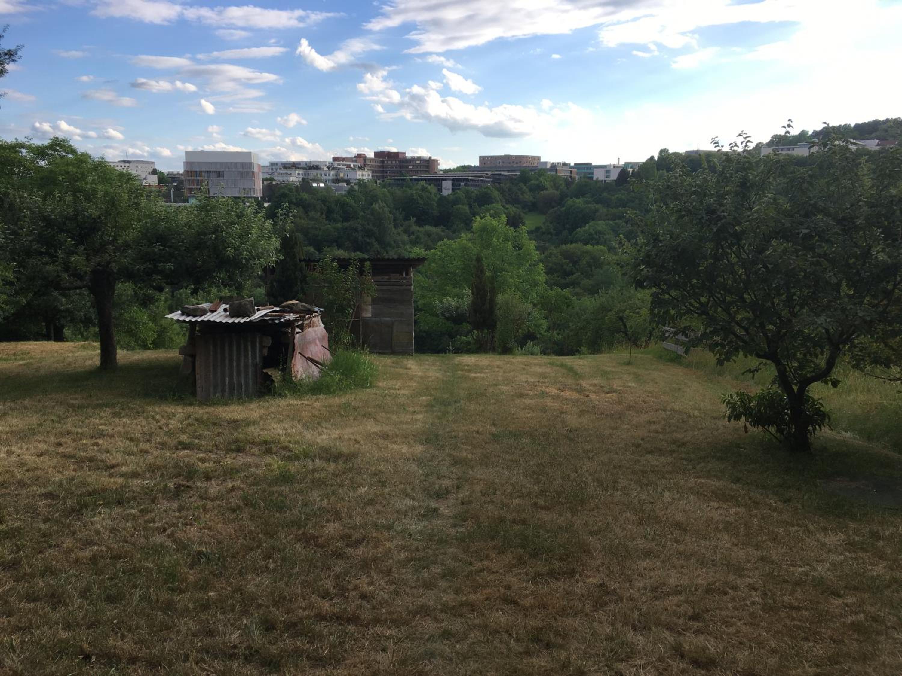 Ruhige Wohnung in zentraler Lage Tübingens view 2