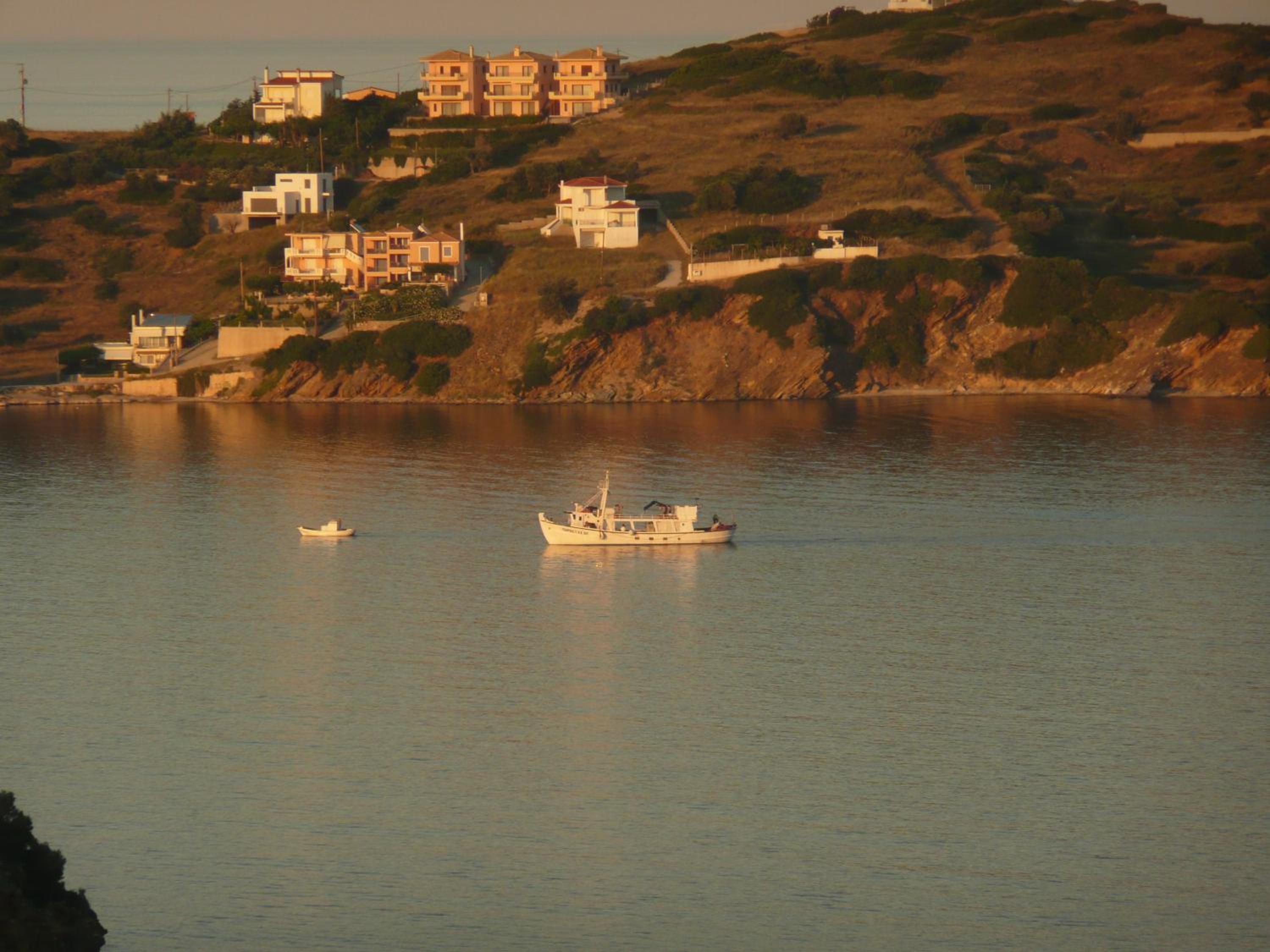 Photo 44