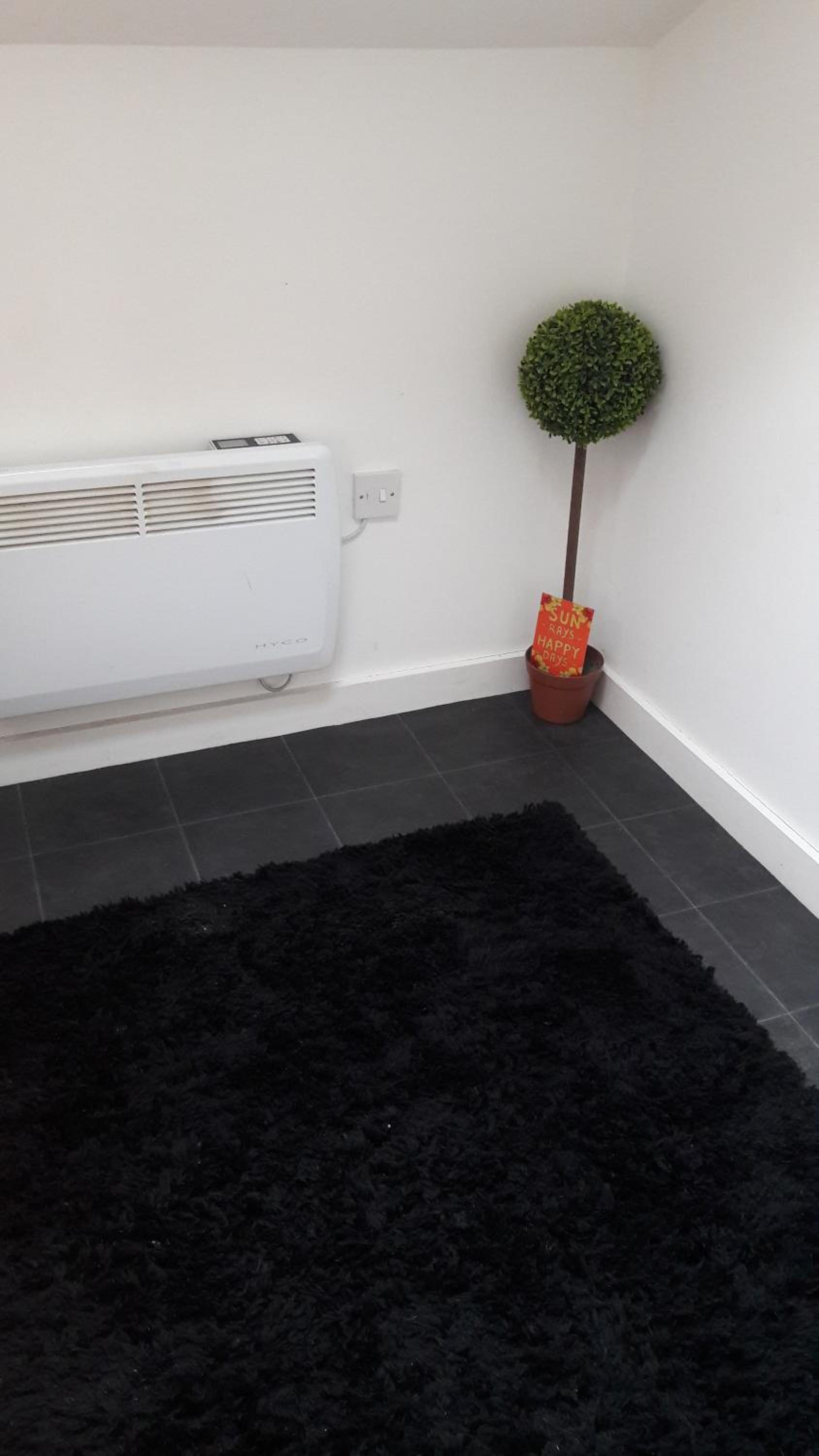Albion Apartment