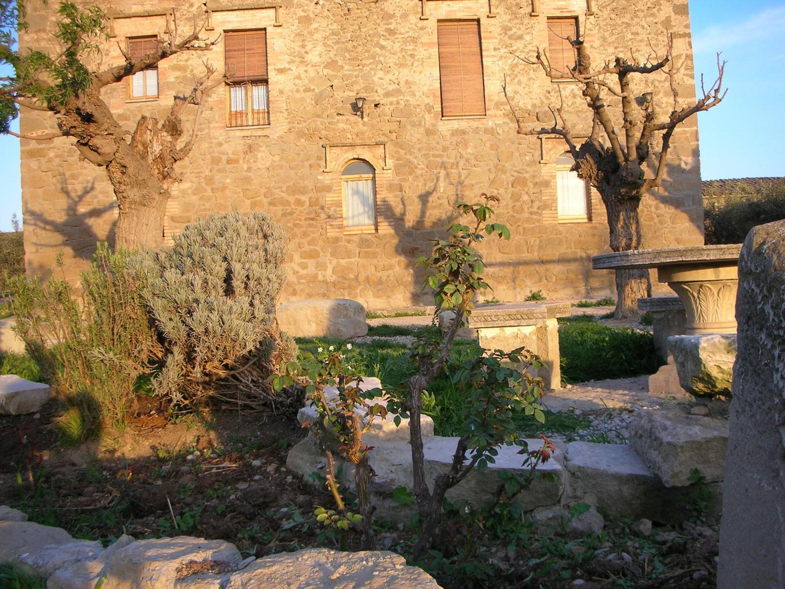 Photo 17