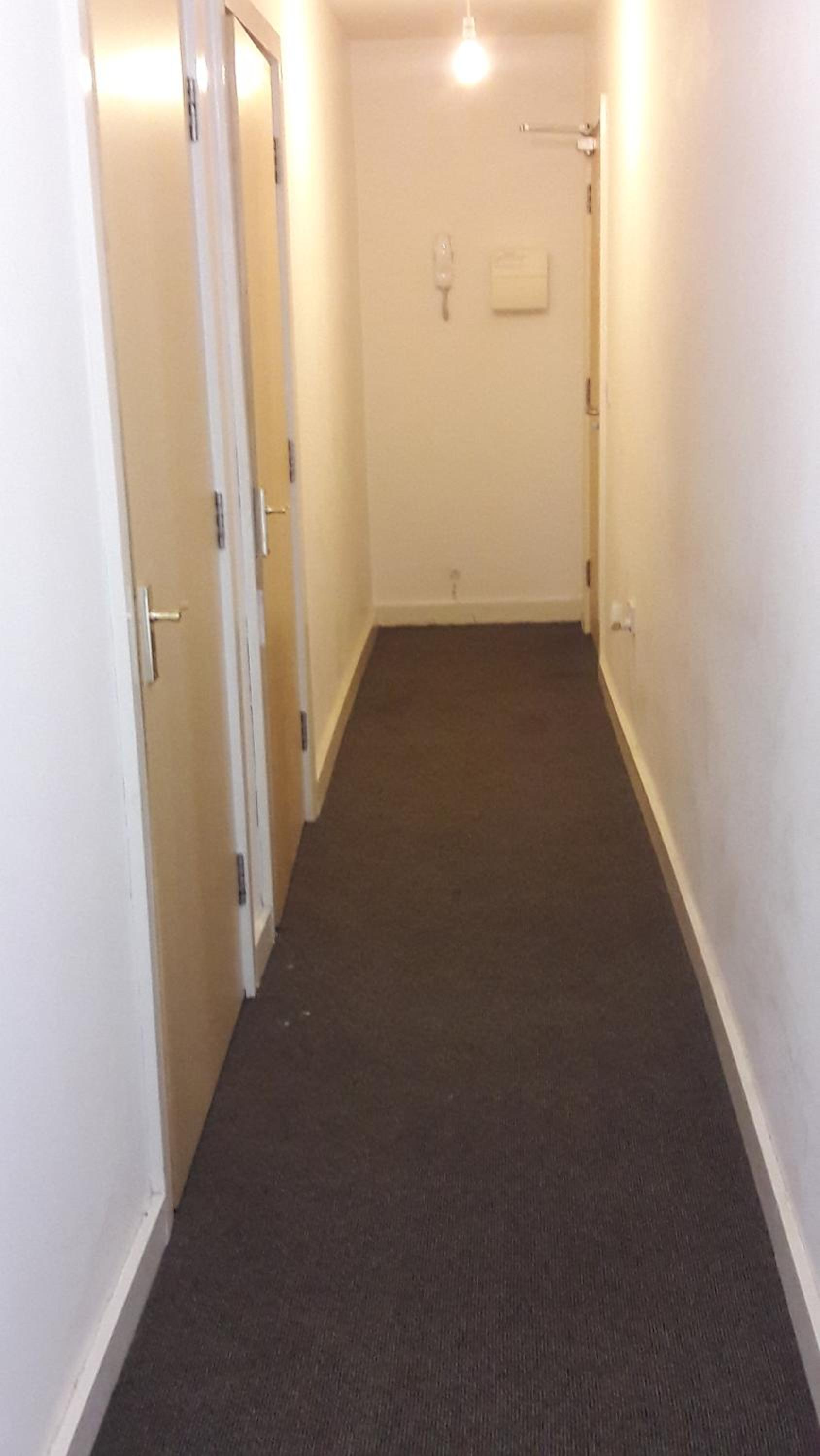 Albion Apartment