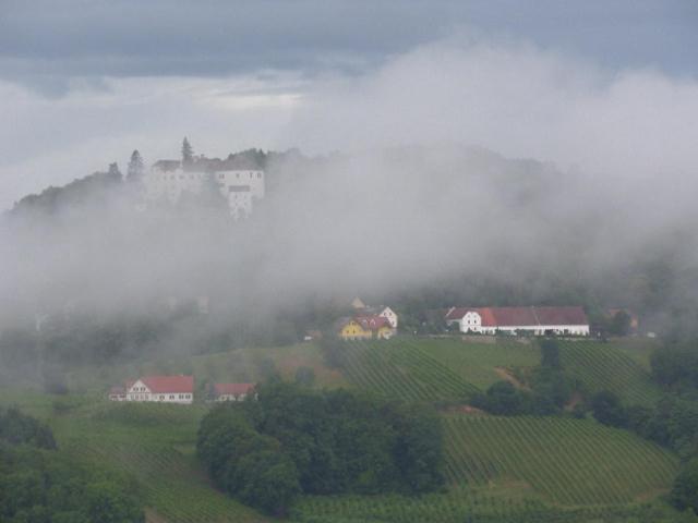 Gästeapartement Schlossblick