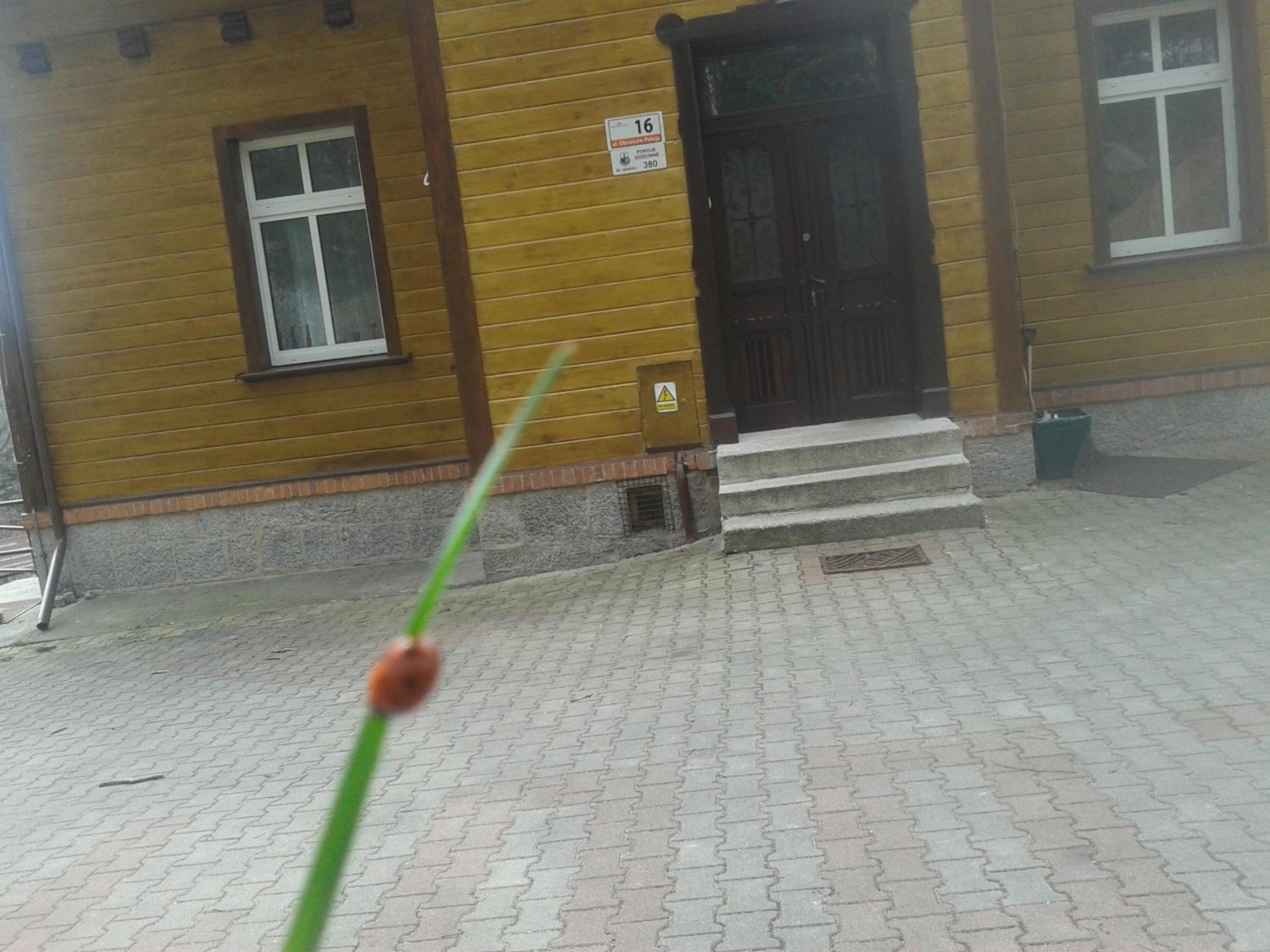 Photo 63