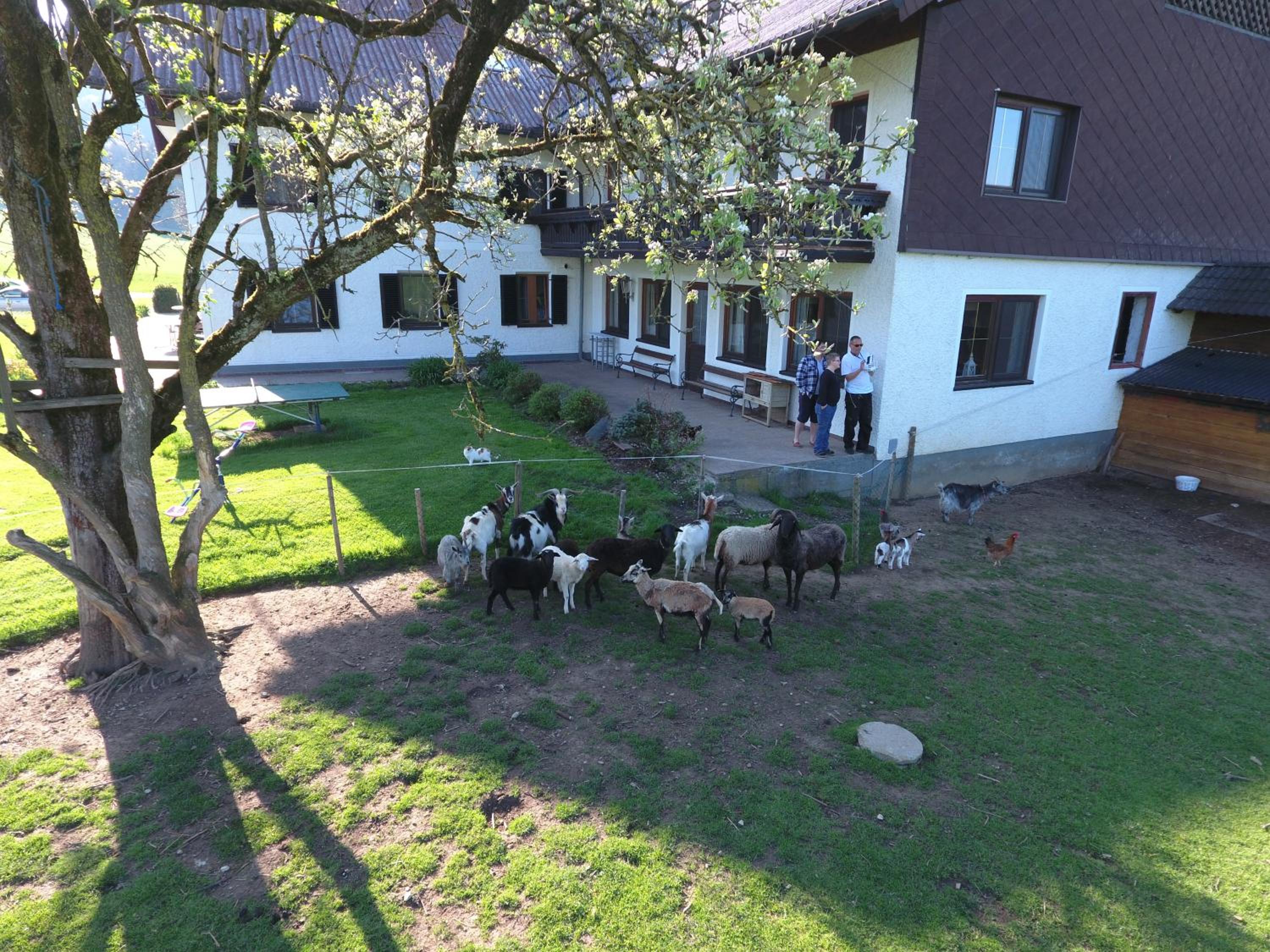 Pension Zenzlgut
