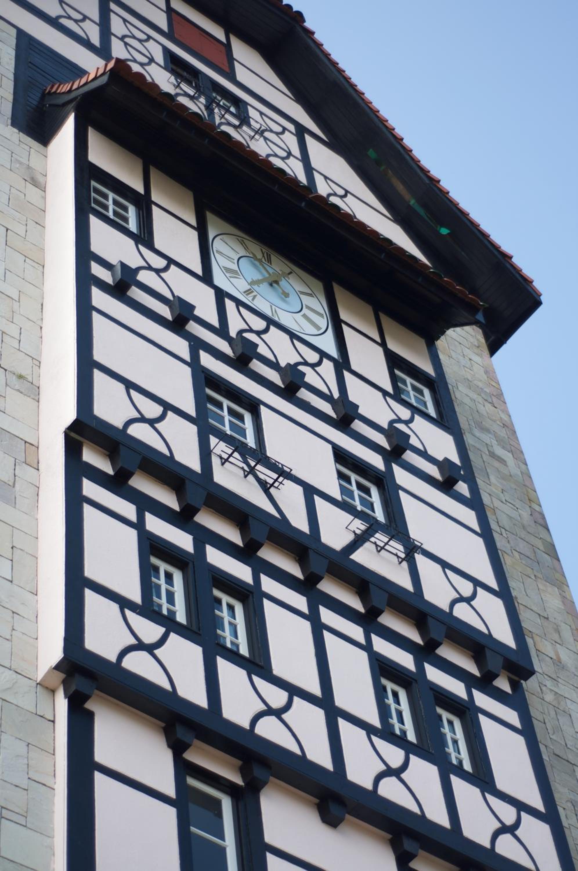 Colmar Tropicale