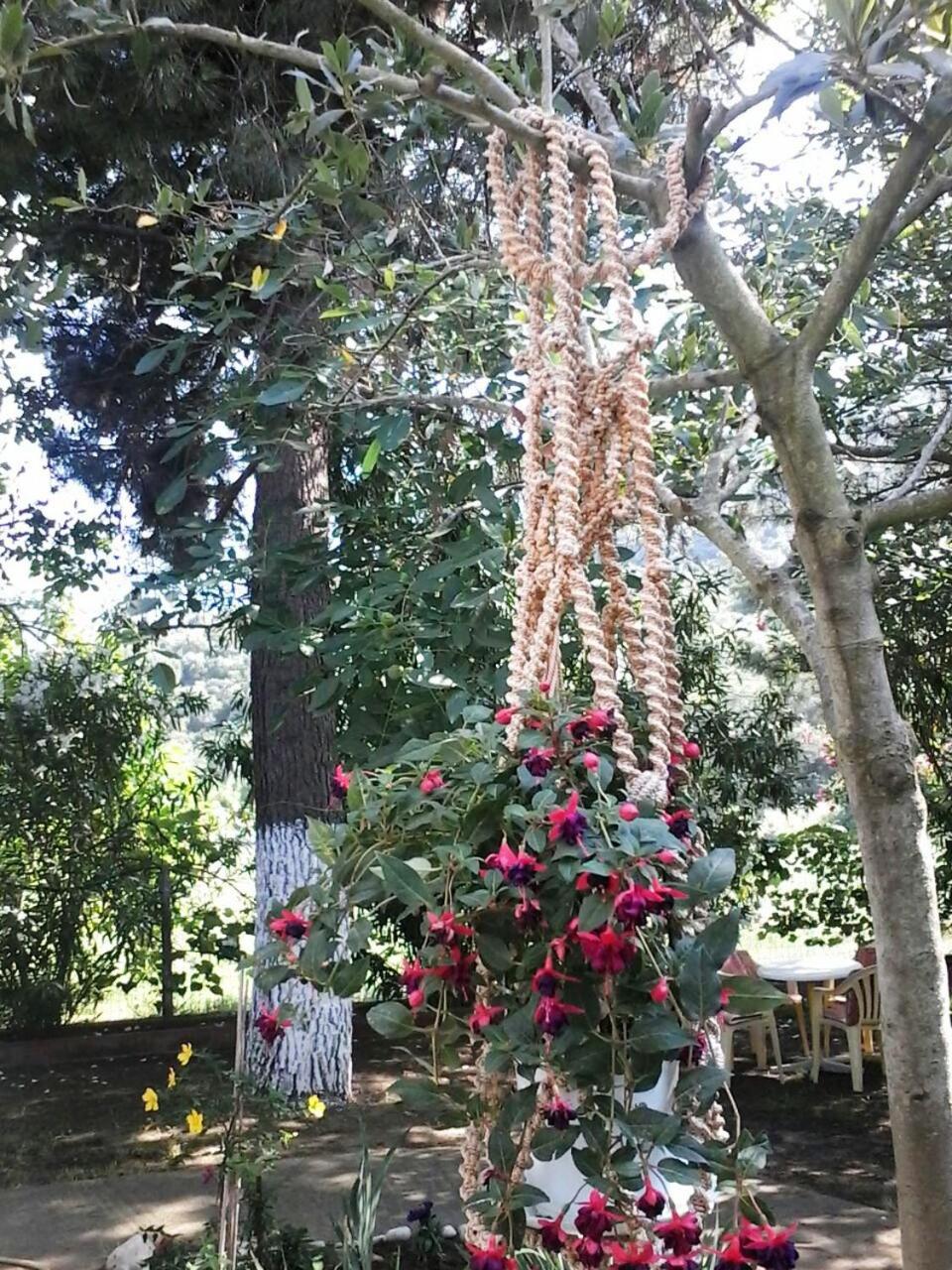 Garden Bungalow Valentina
