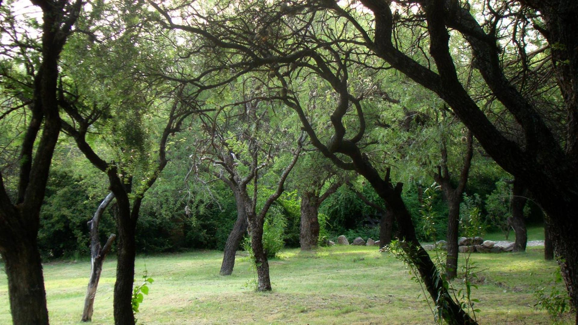 Cabañas Cerros del Sol