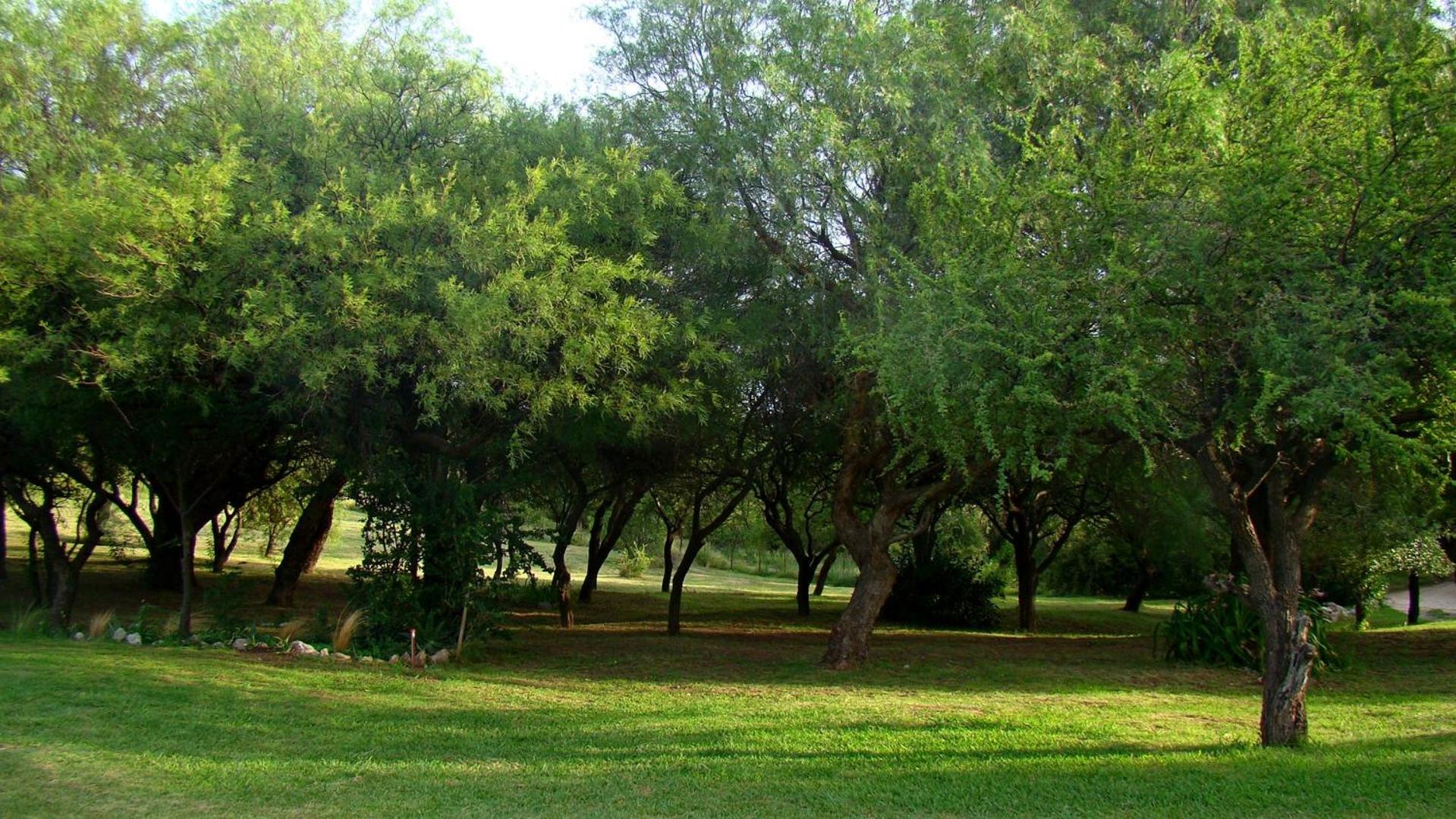 Cabañas Cerros del Sol