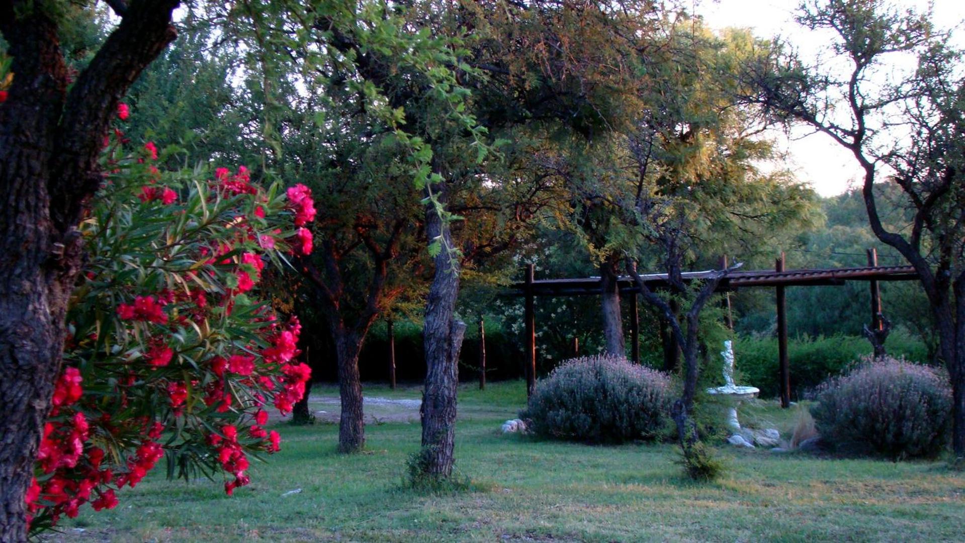 Cabañas Cerros del Sol