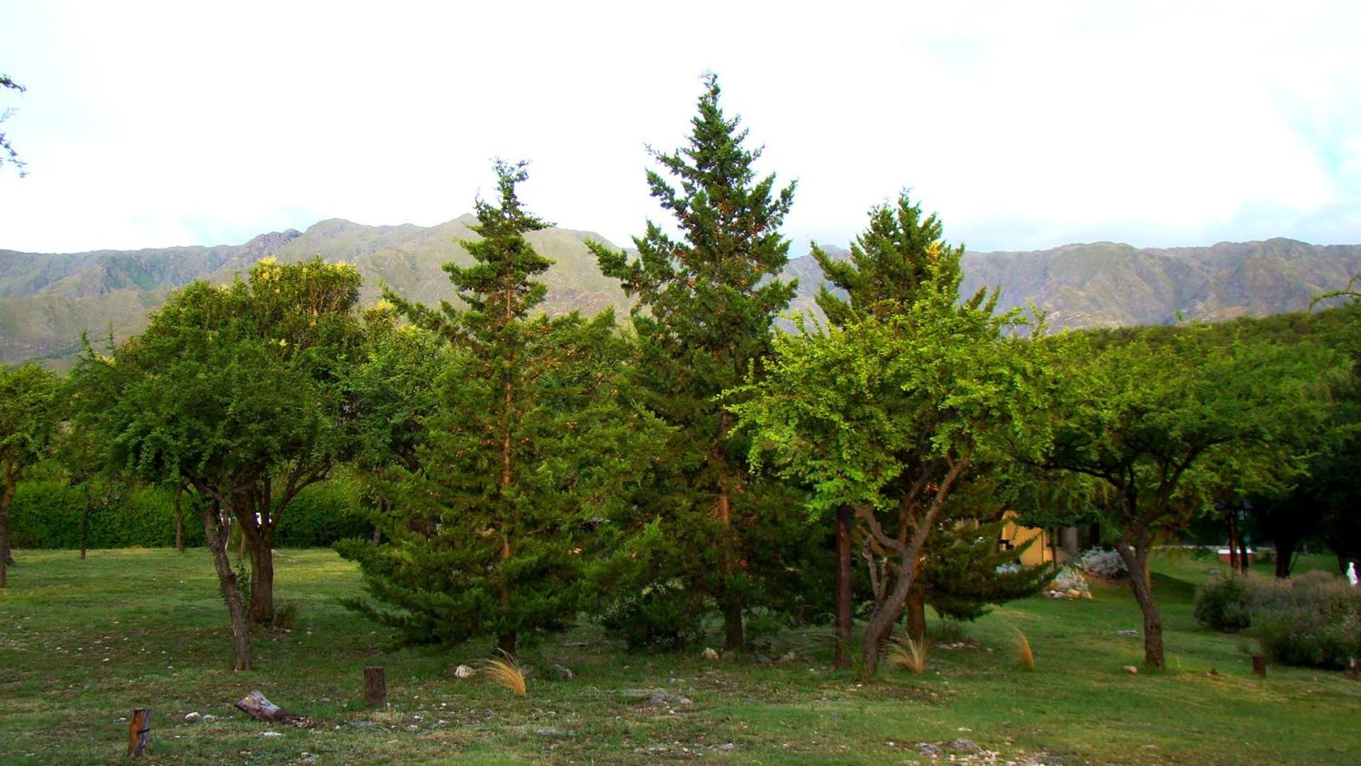 Cabañas Cerros del Sol