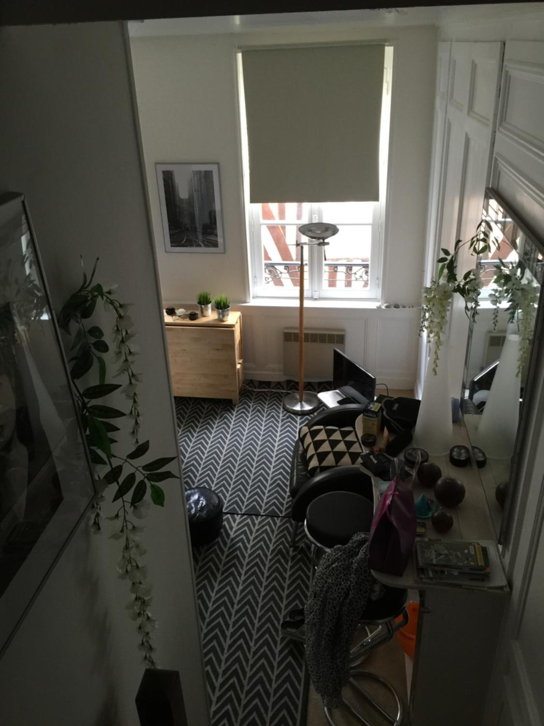 Rue Des Lingots Apartment view 5
