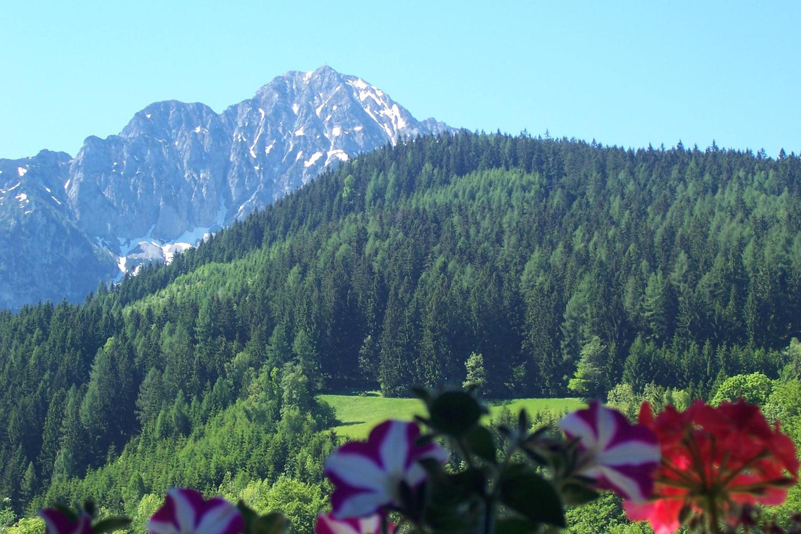 Landhaus Seebacher