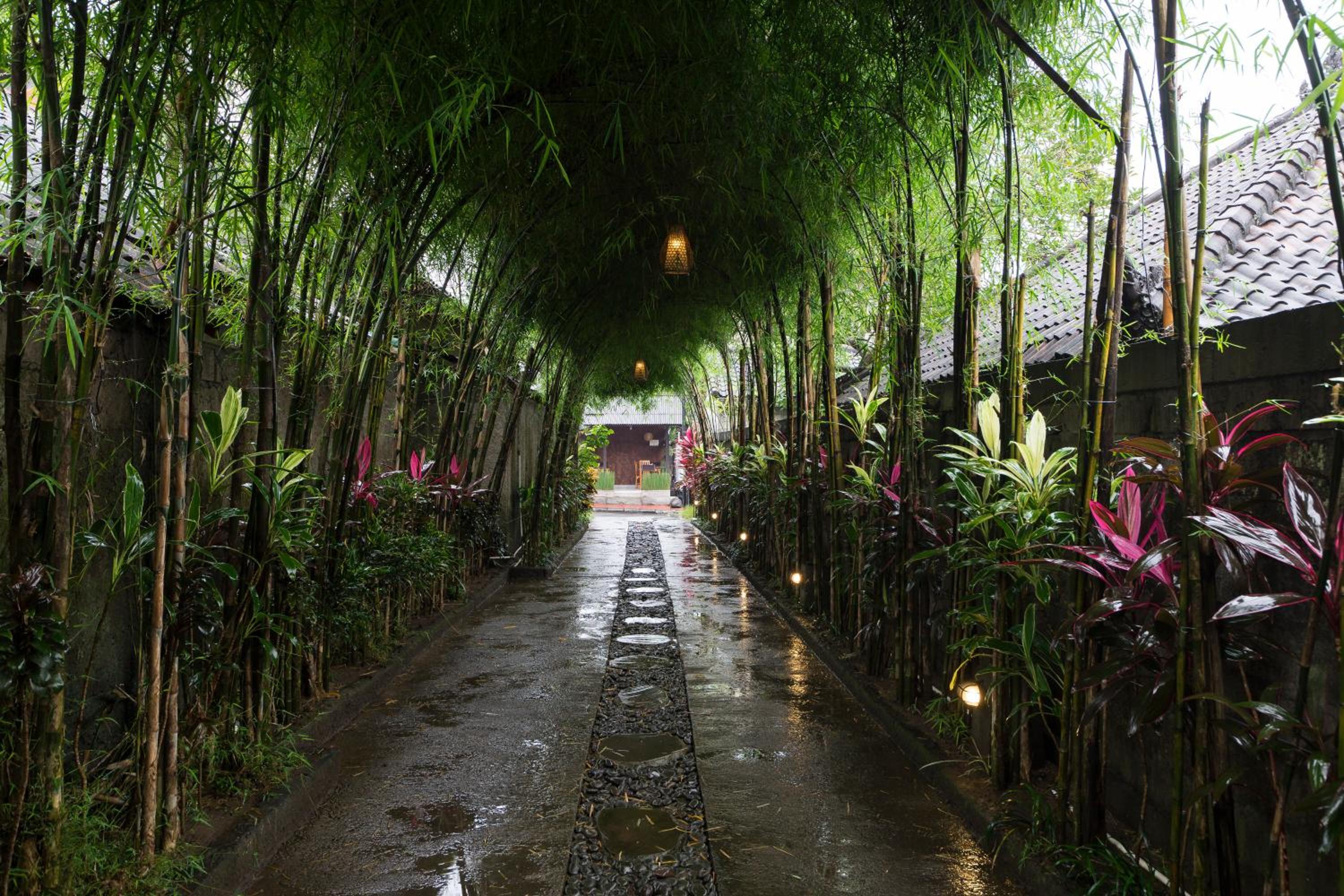 Jungle Haven Resort Central Ubud