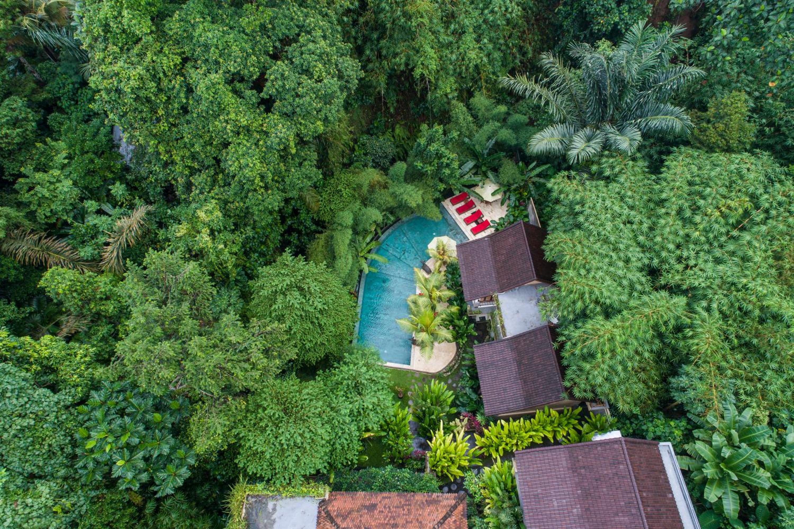 Jungle Haven Resort Central Ubud