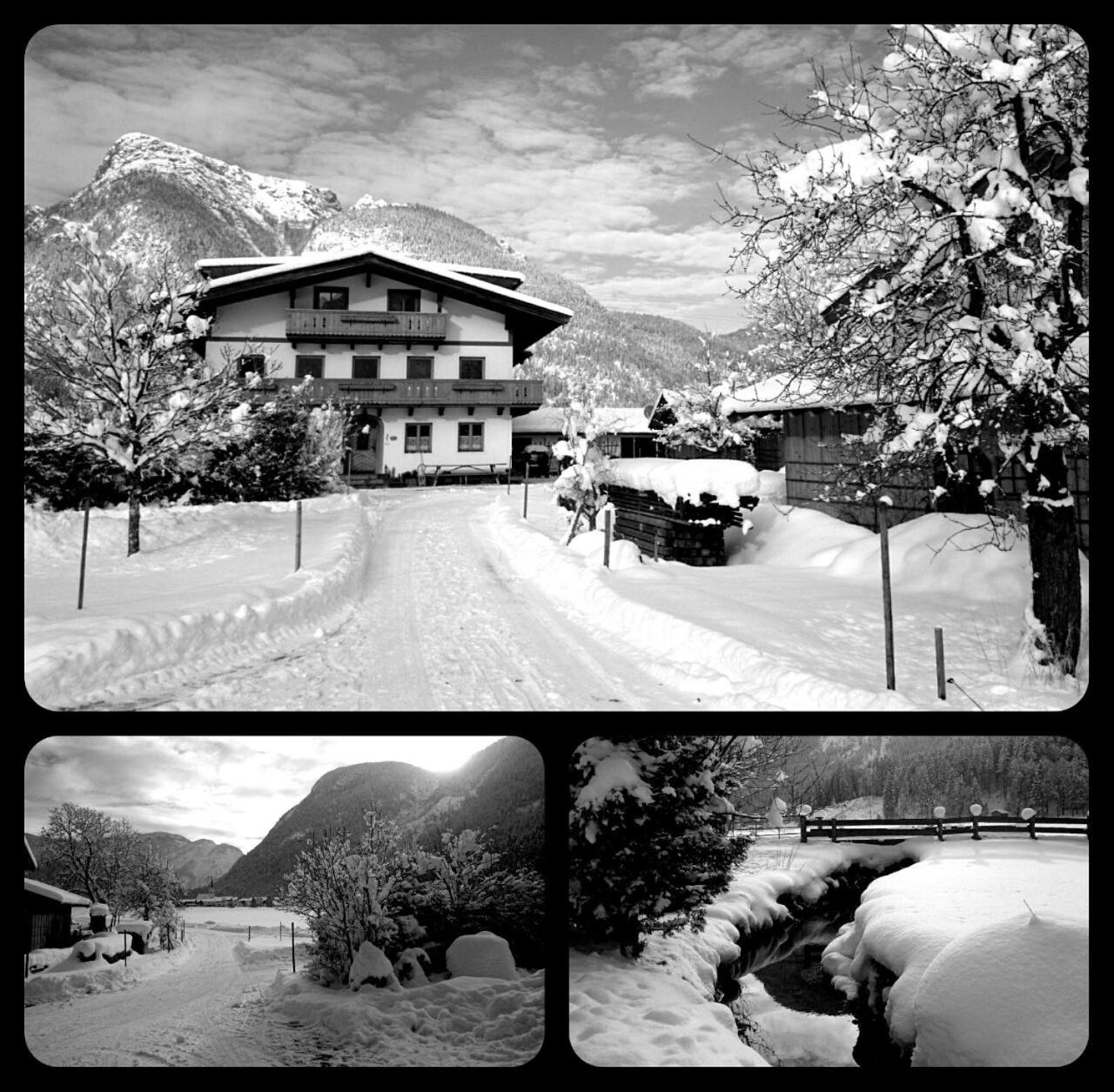 Zenauerhof