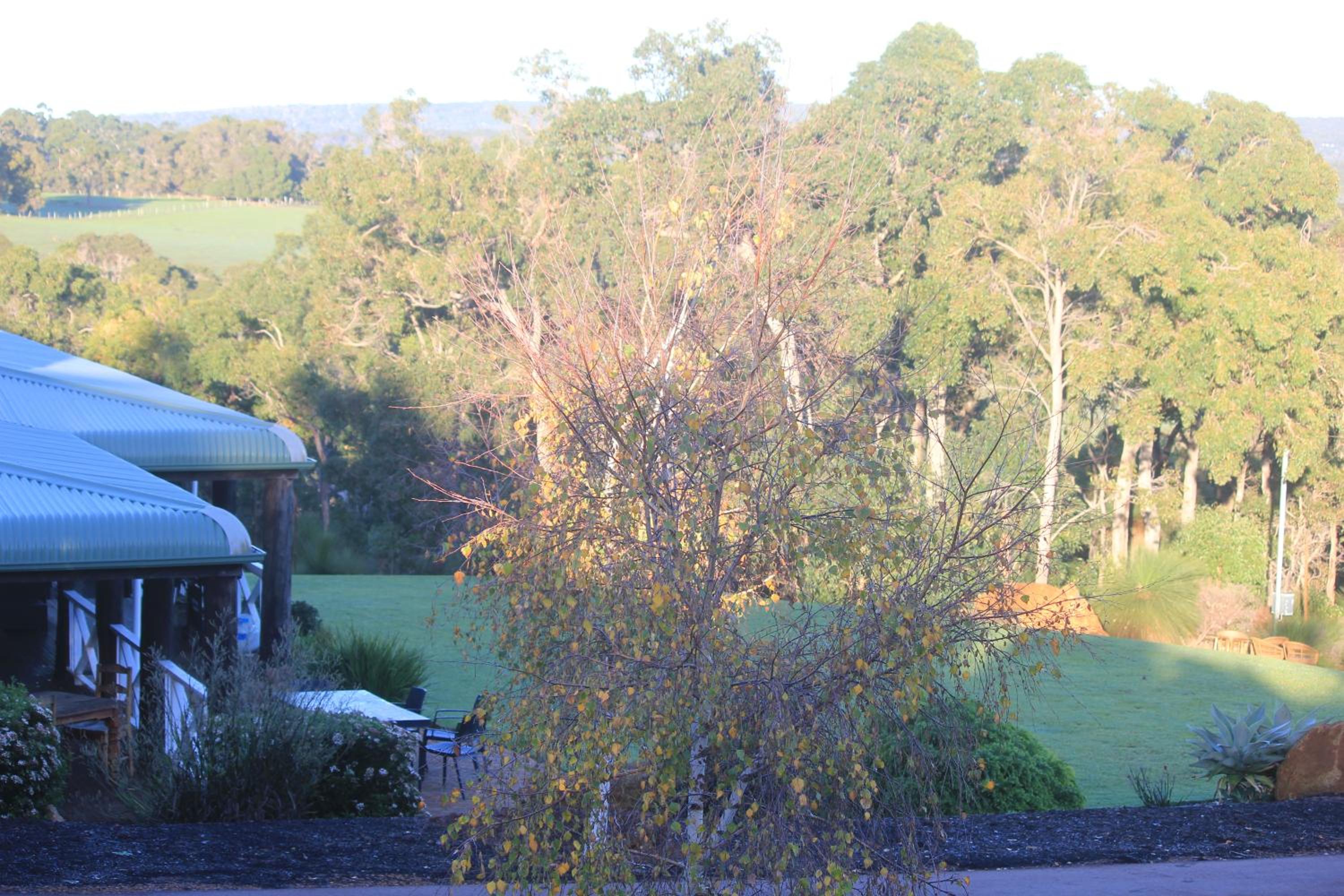 The Farmhouse