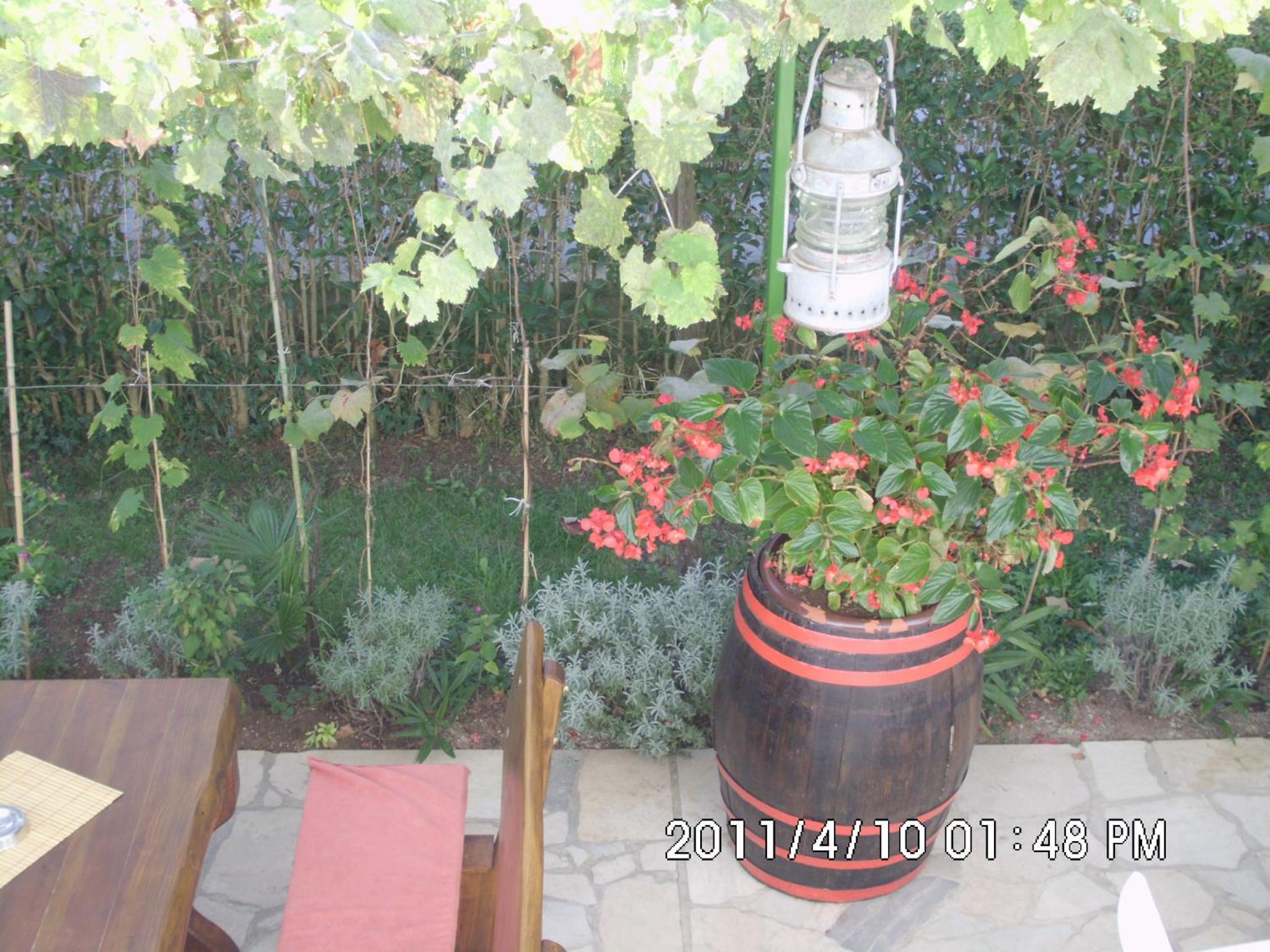Photo 17
