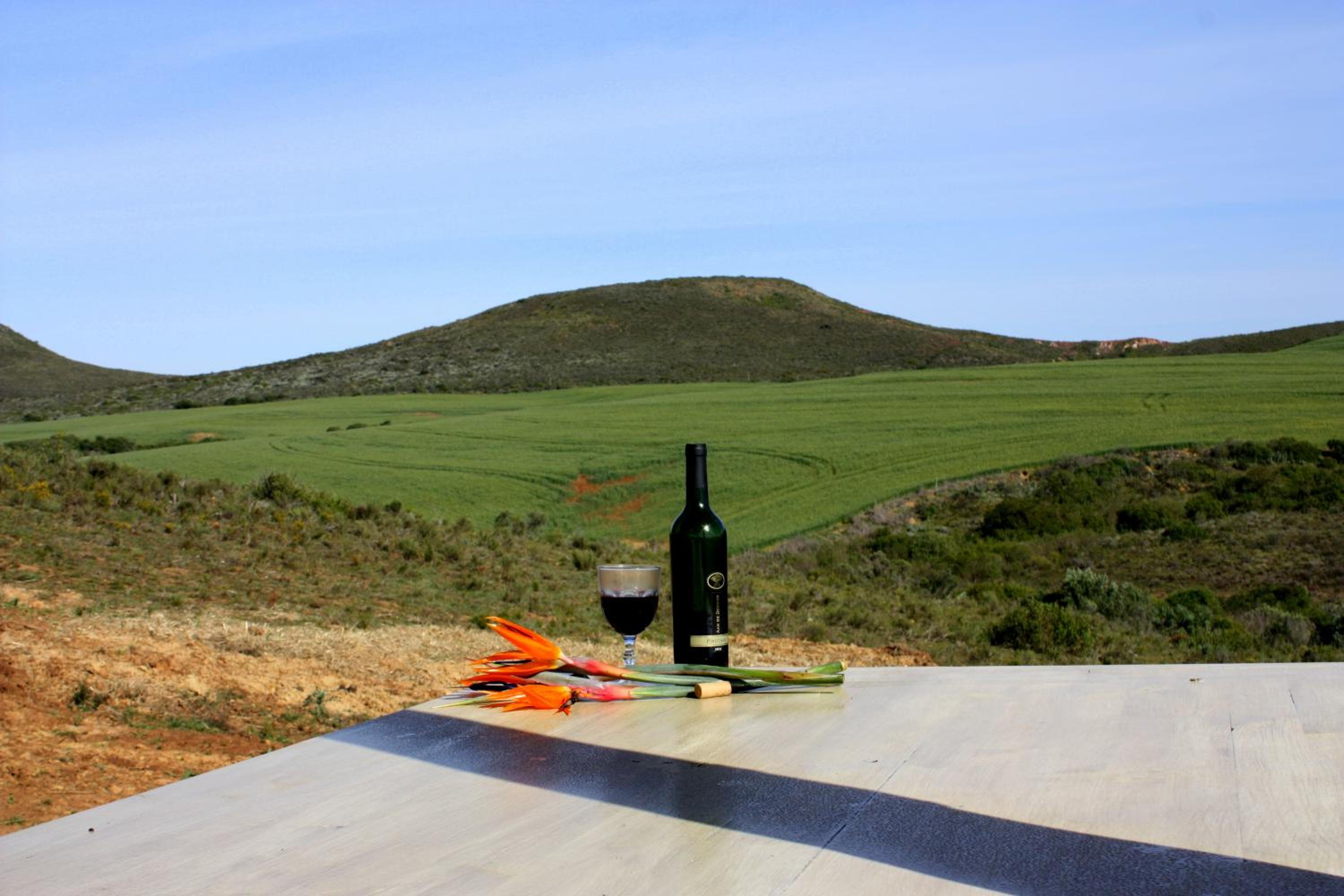 Melkboom Guest Farm view 4