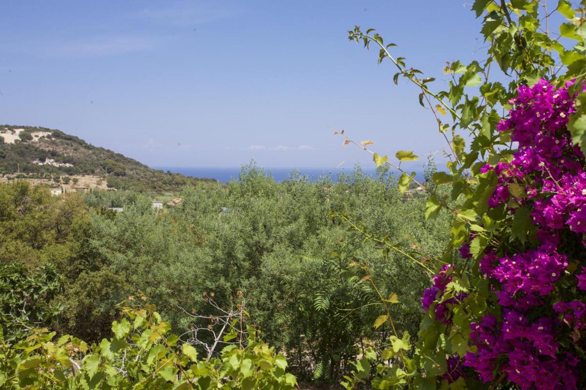 Villetta Gloria photo 2