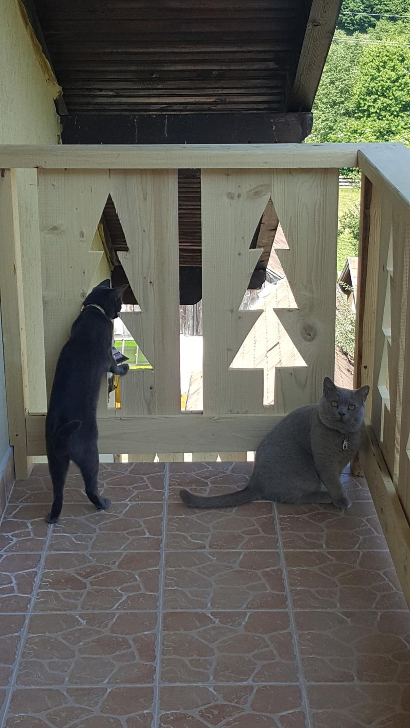 Casa Mon Reve