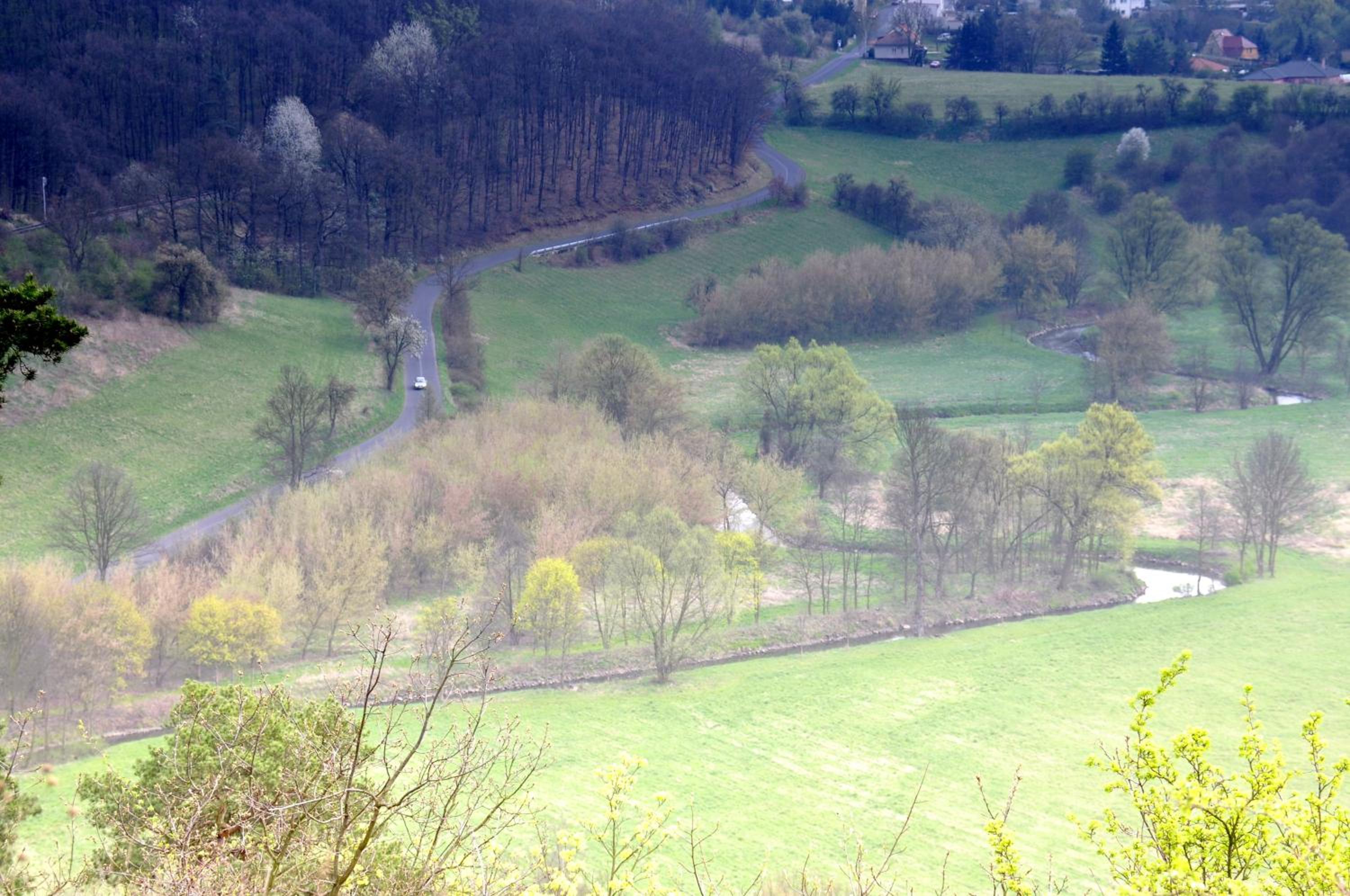 Photo 46
