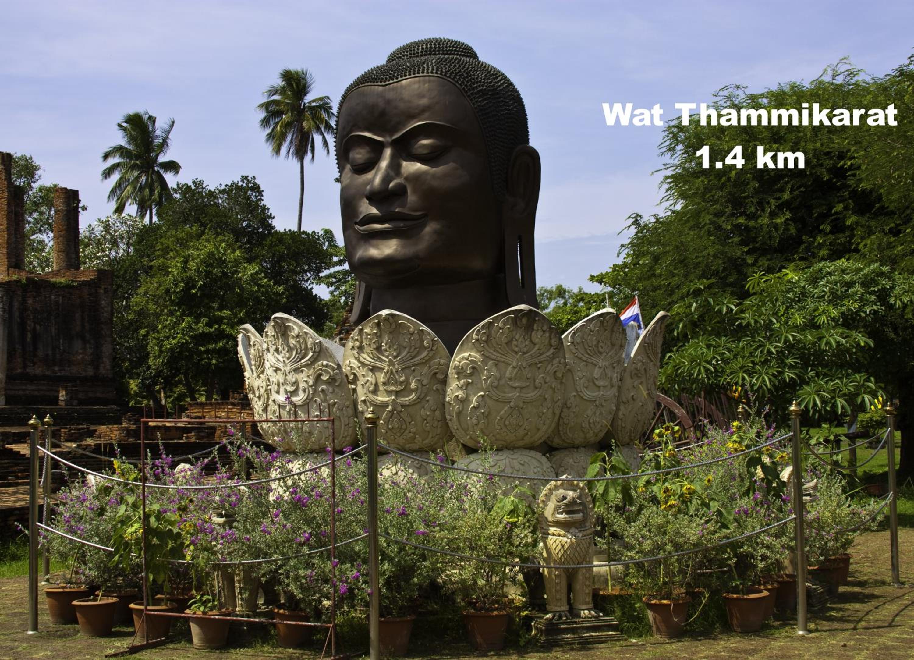 Early Bird Hostel Ayutthaya