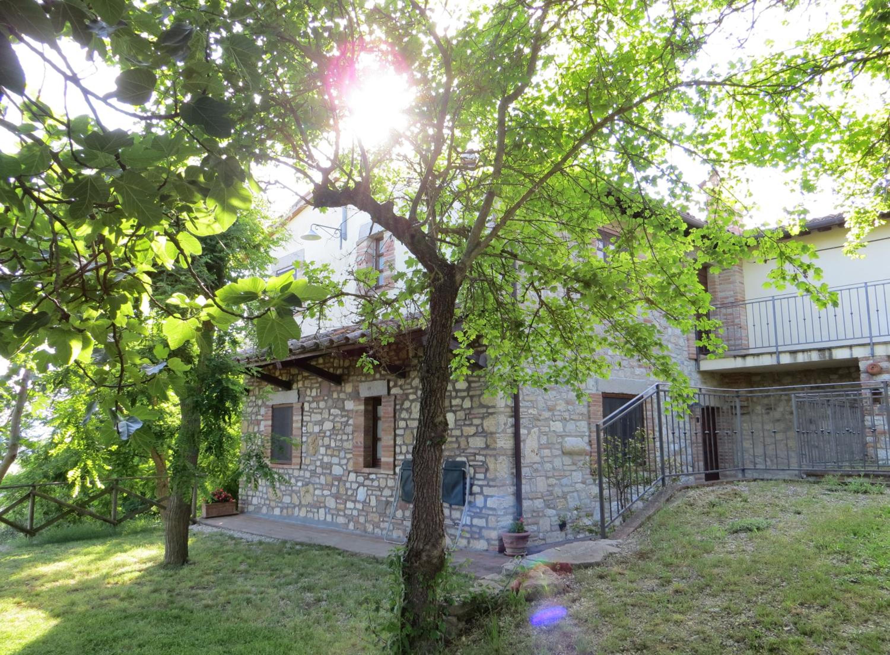 Agriturismo Casale delle Lucrezie view 5